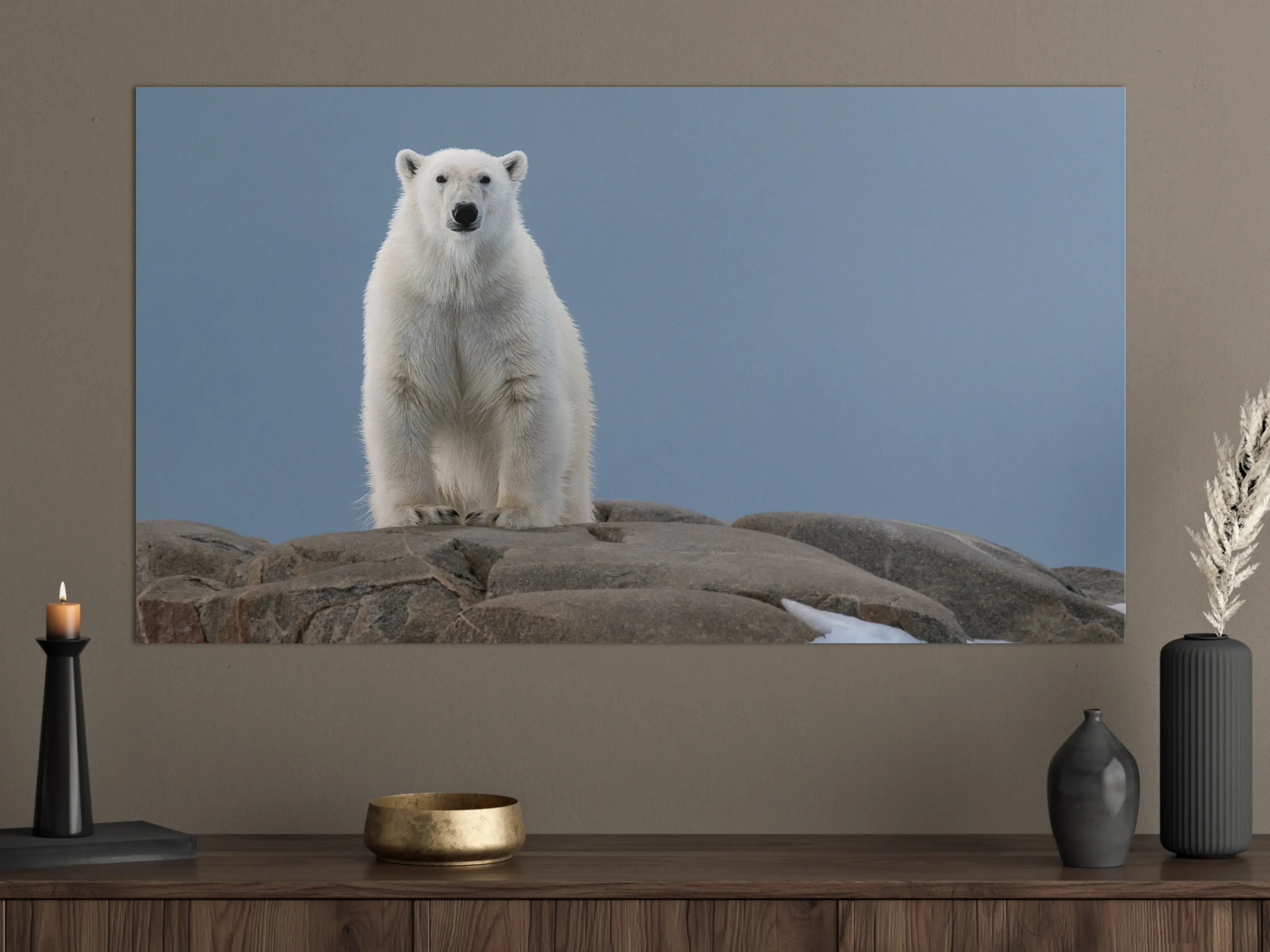 Große Wandbilder - Eisbär auf Felsen vor hellem Himmel