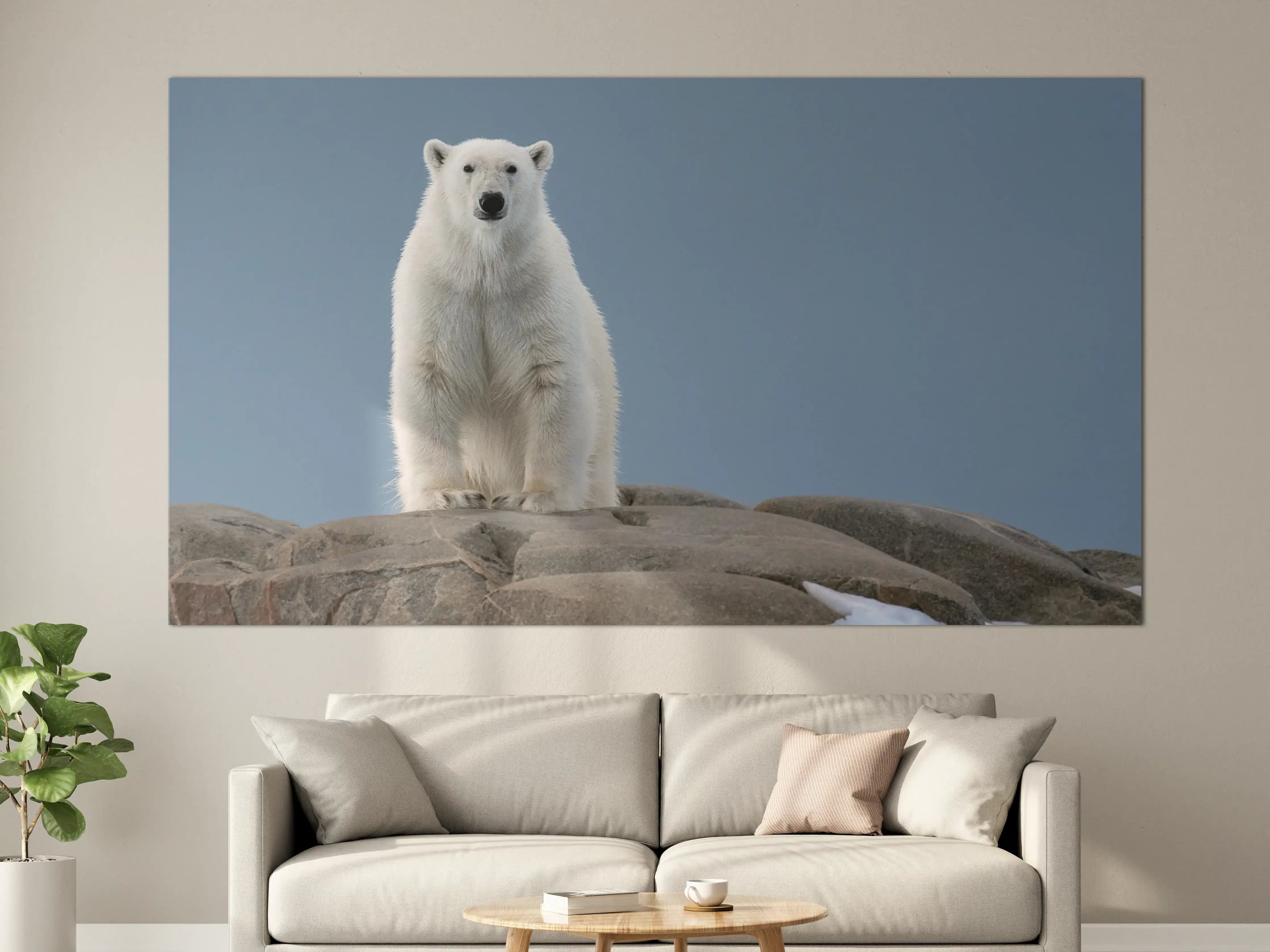 Große Wandbilder - Eisbär auf Felsen vor hellem Himmel