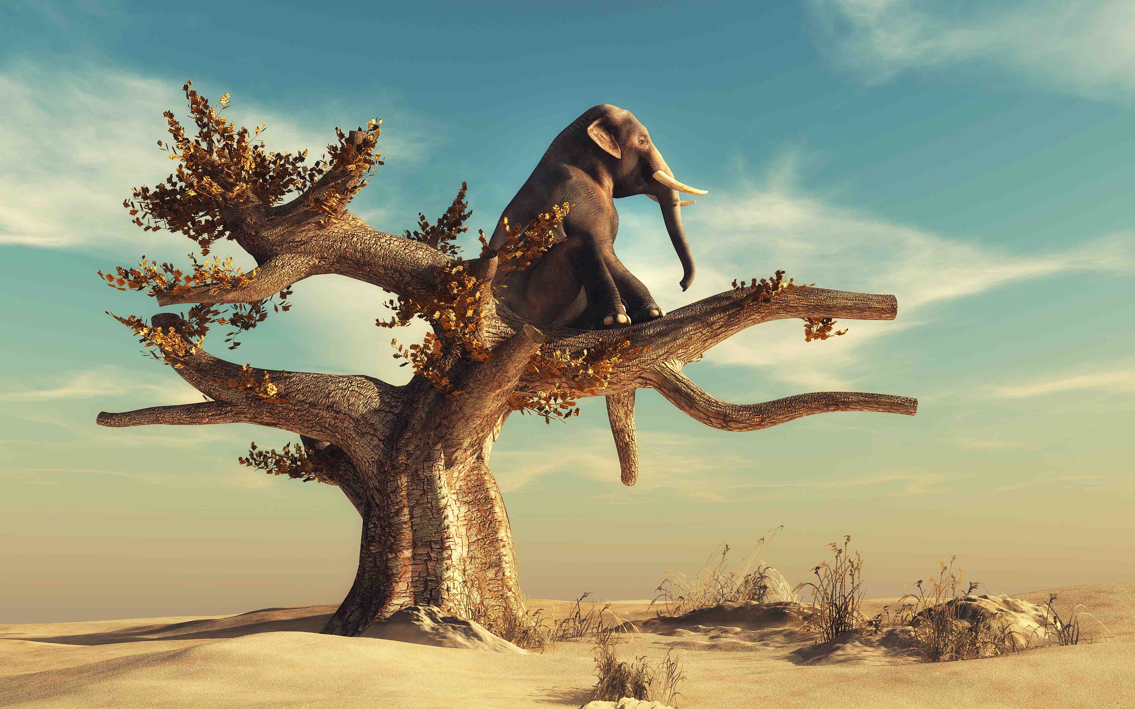 Große Wandbilder-Elefant auf Baum im Sonnenuntergang