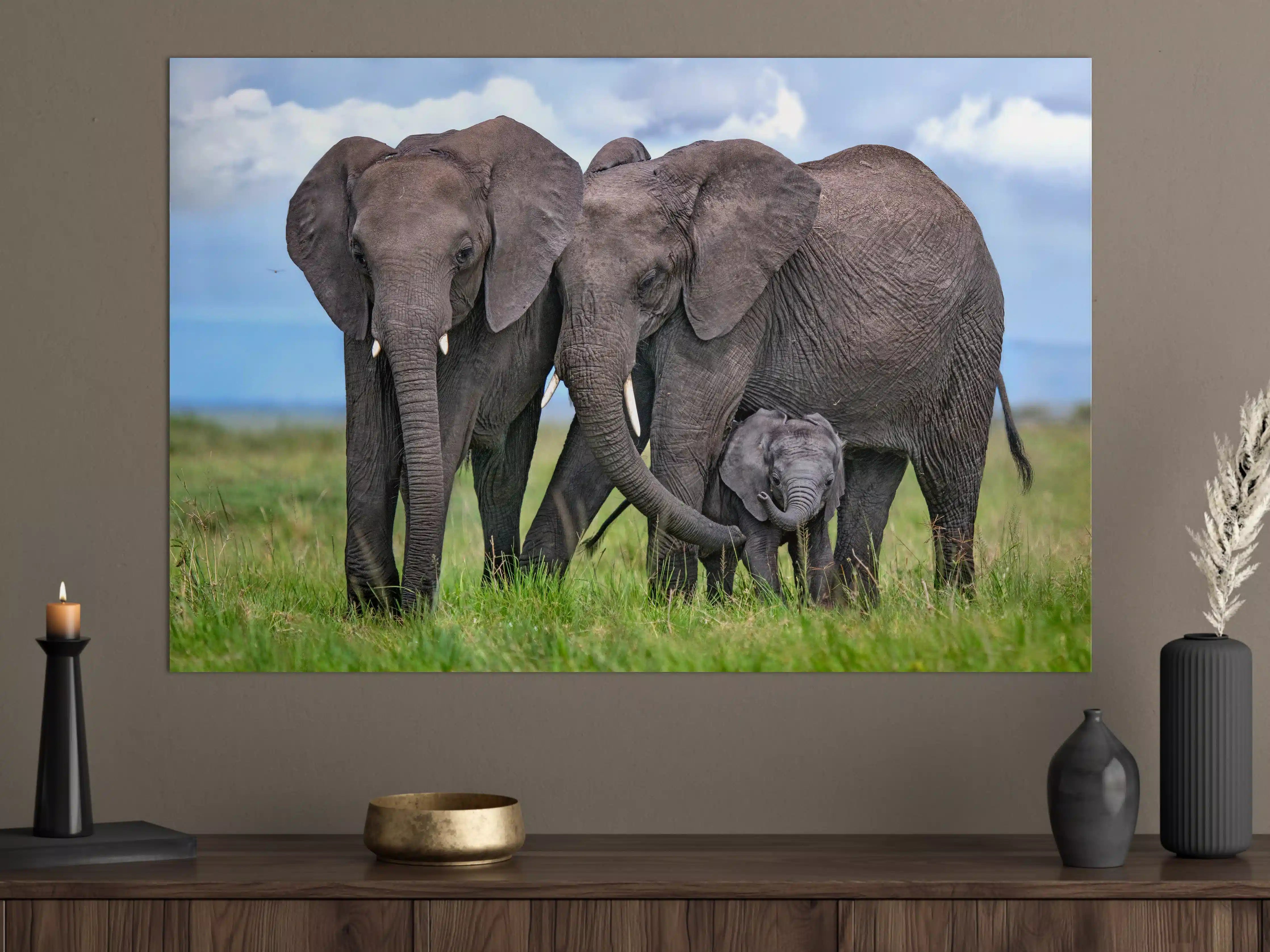 Große Wandbilder - Elefanten Familie - Afrika