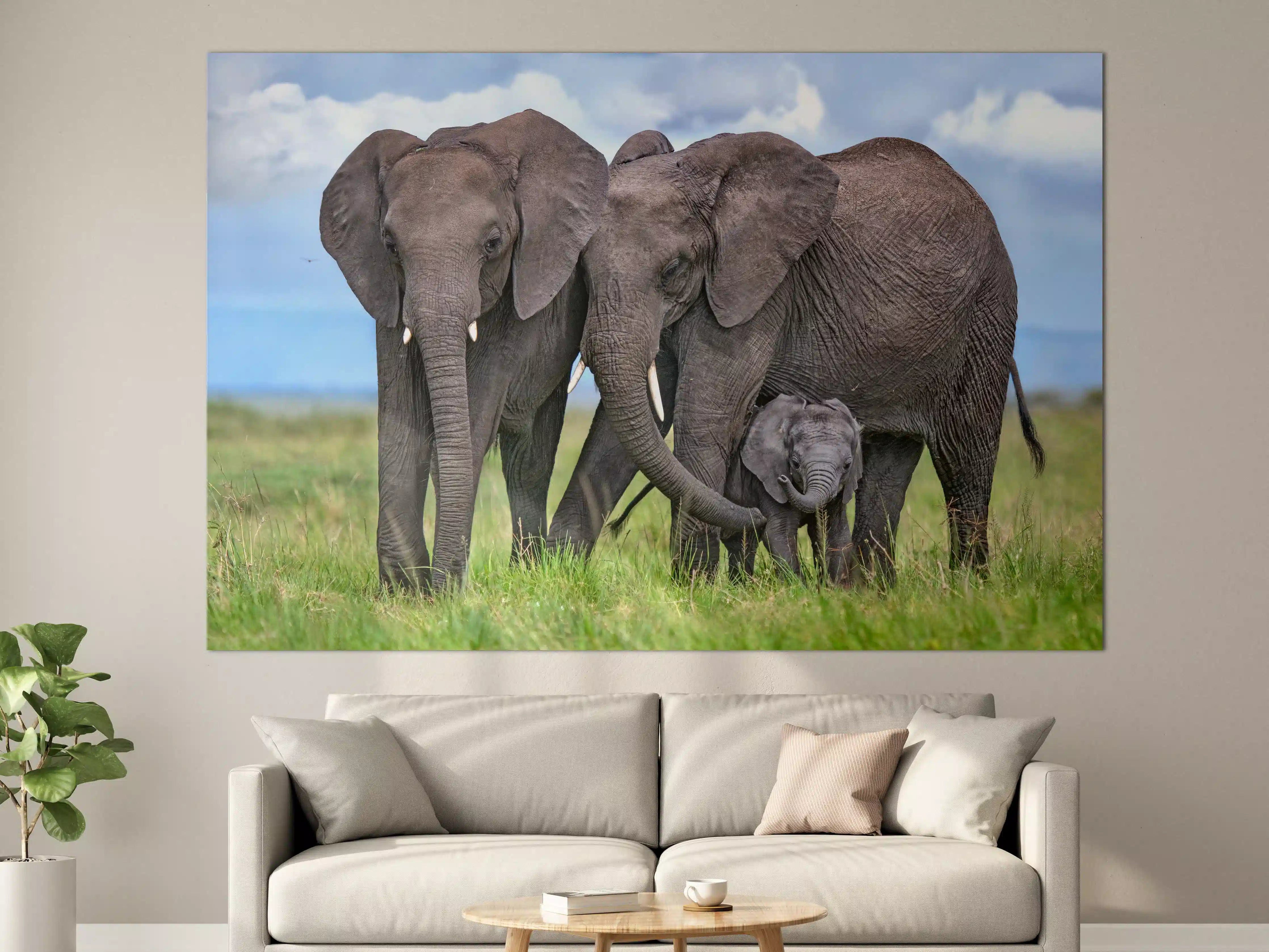 Große Wandbilder - Elefanten Familie - Afrika