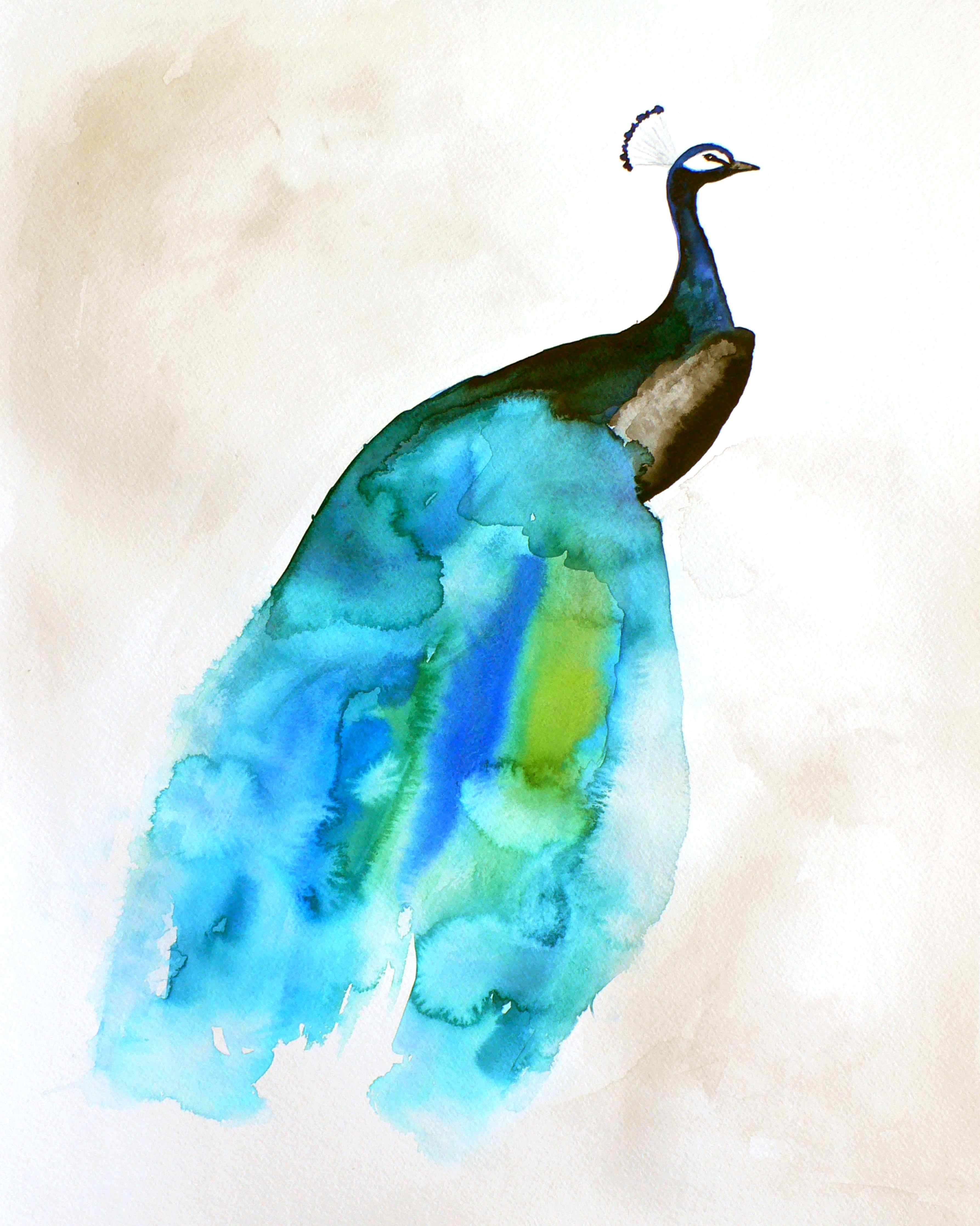Große Wandbilder-Elegant bunter Pfau Wasserfarbkunst