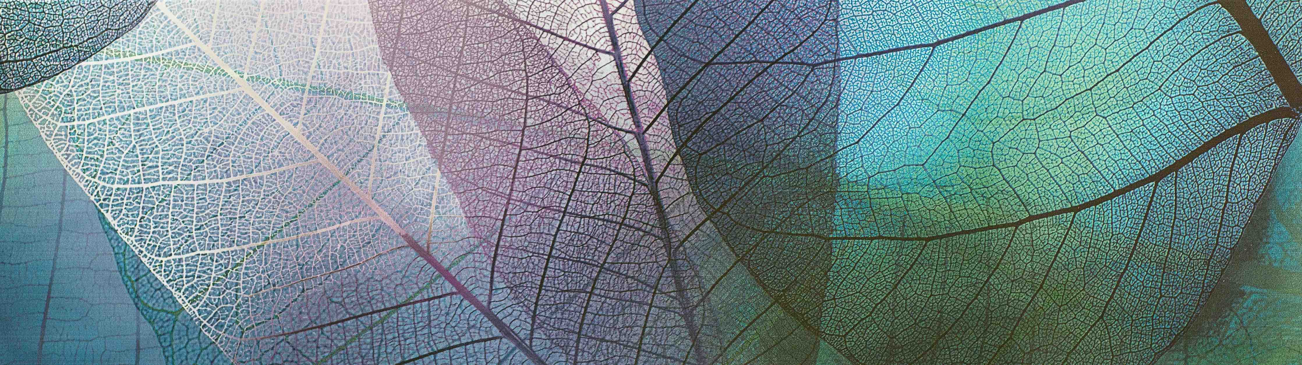 Große Wandbilder-Elegante Blätter in sanften Farben