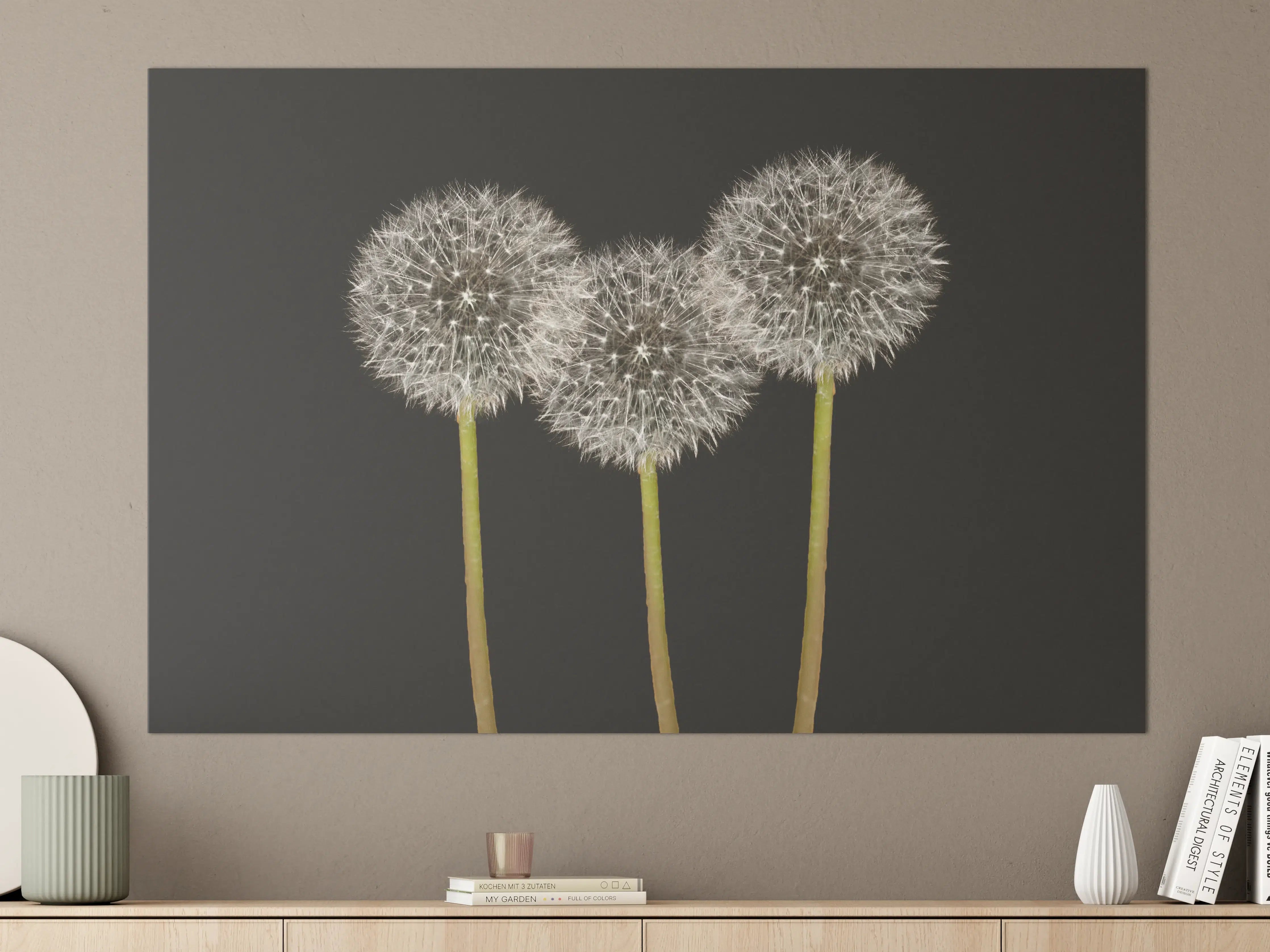 Große Wandbilder - Elegante Pusteblumen auf dunklem Hintergrund