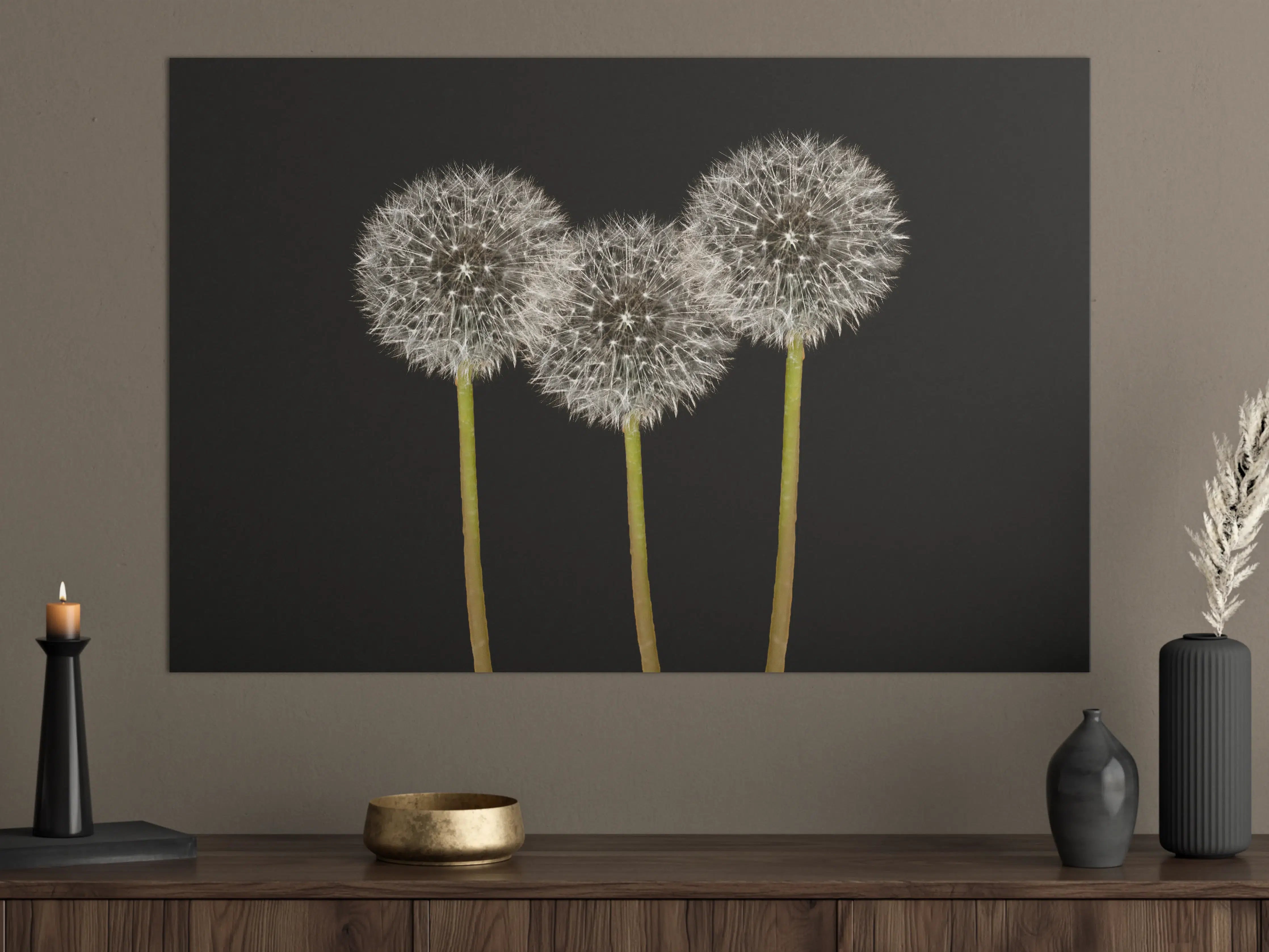 Große Wandbilder - Elegante Pusteblumen auf dunklem Hintergrund
