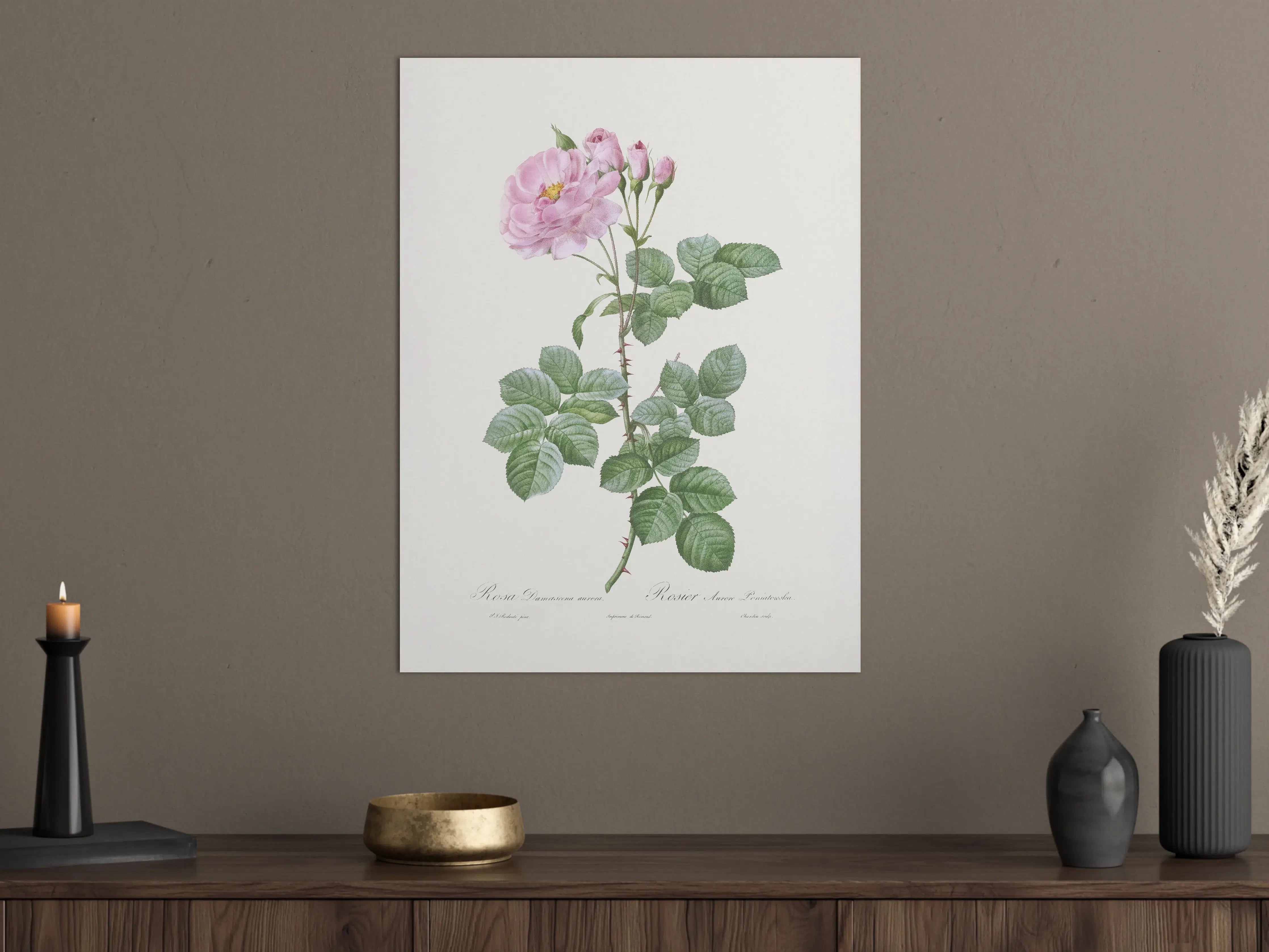 Große Wandbilder - Elegante rosa Rosenblüte mit zarten Blütenknospen