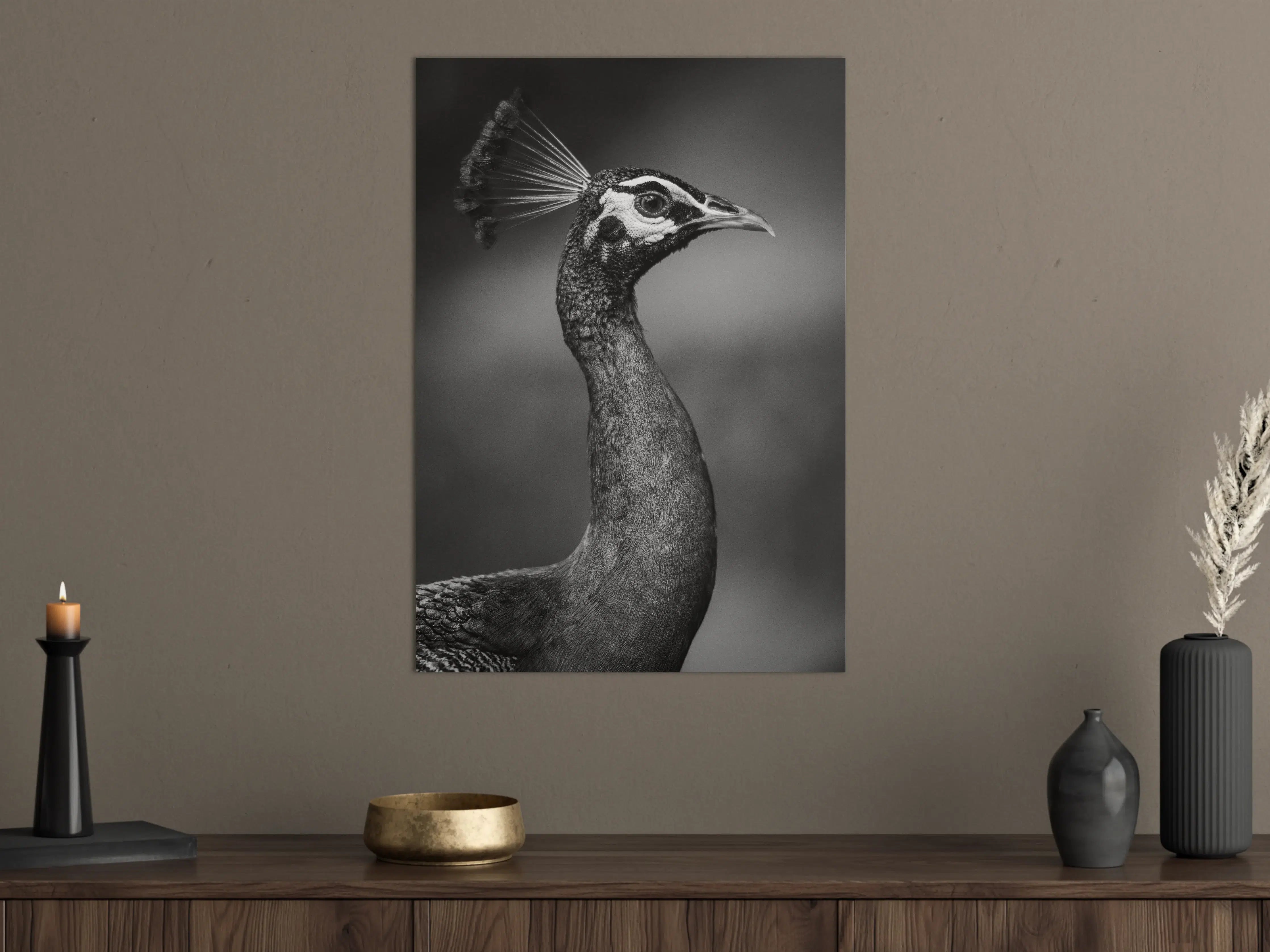 Große Wandbilder - Eleganter Pfau in Schwarz-Weiß