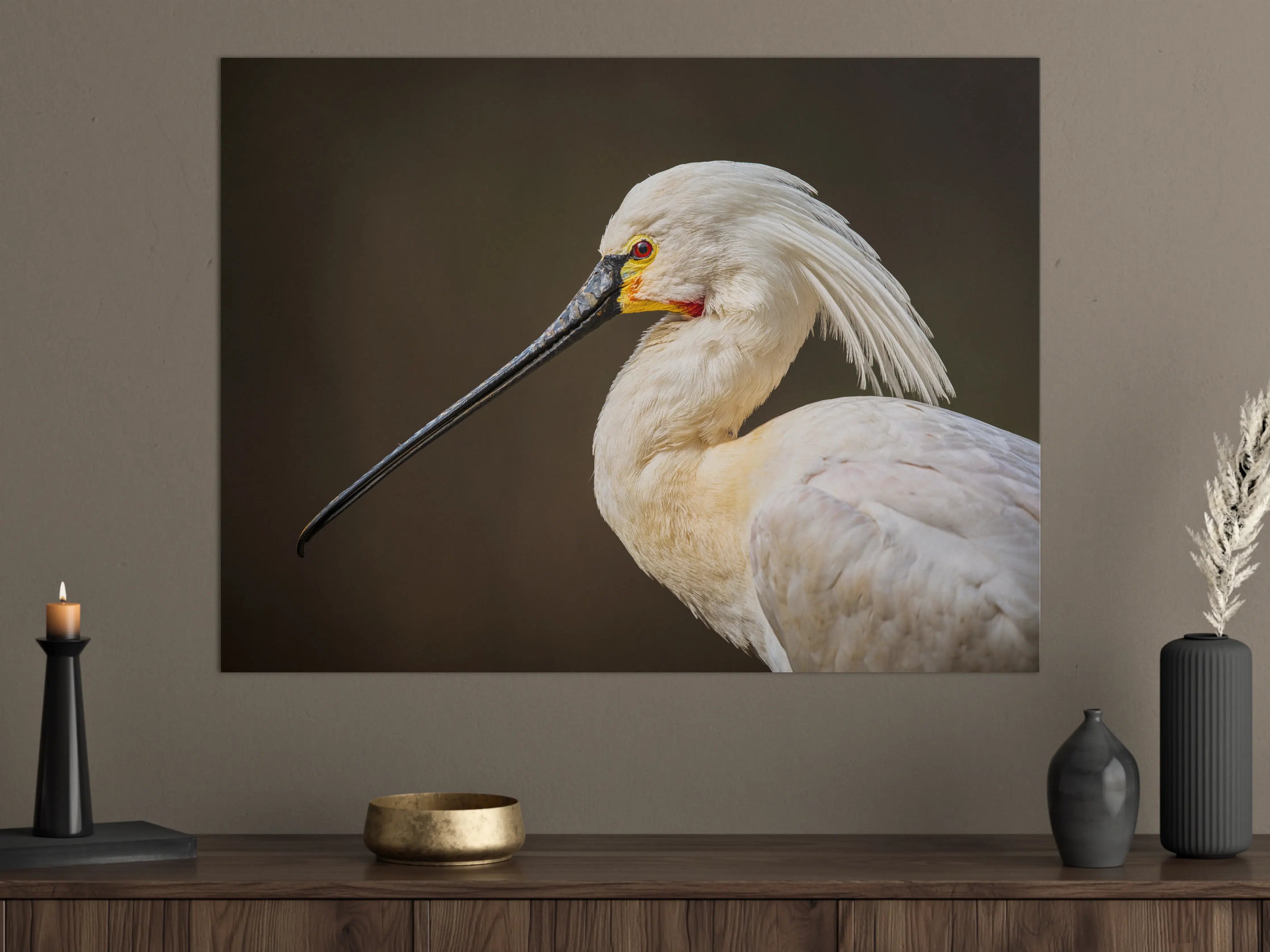 Große Wandbilder - Eleganter Weißer Storch