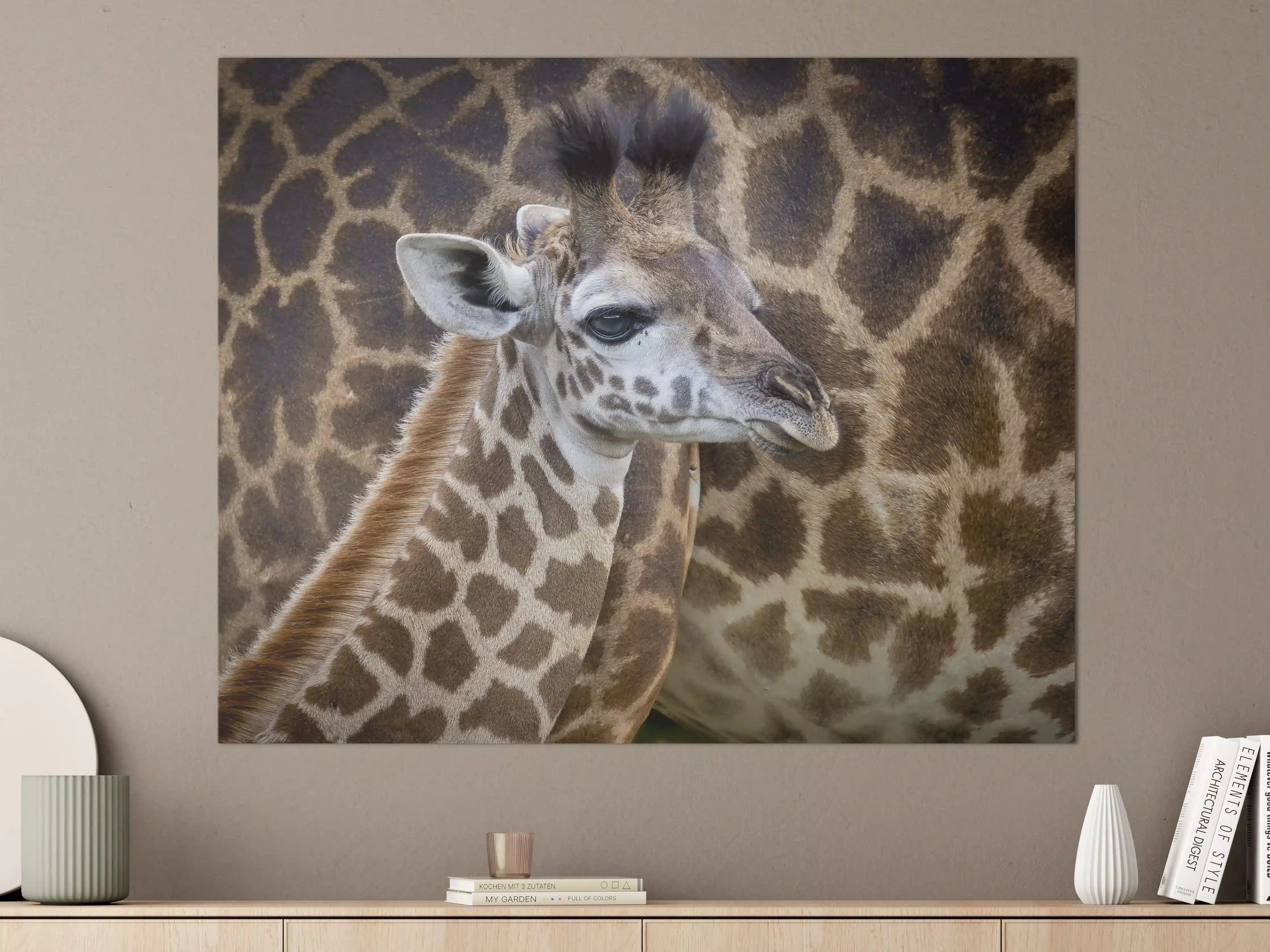 Große Wandbilder - Elegantes Giraffenporträt vor tierischer Kulisse