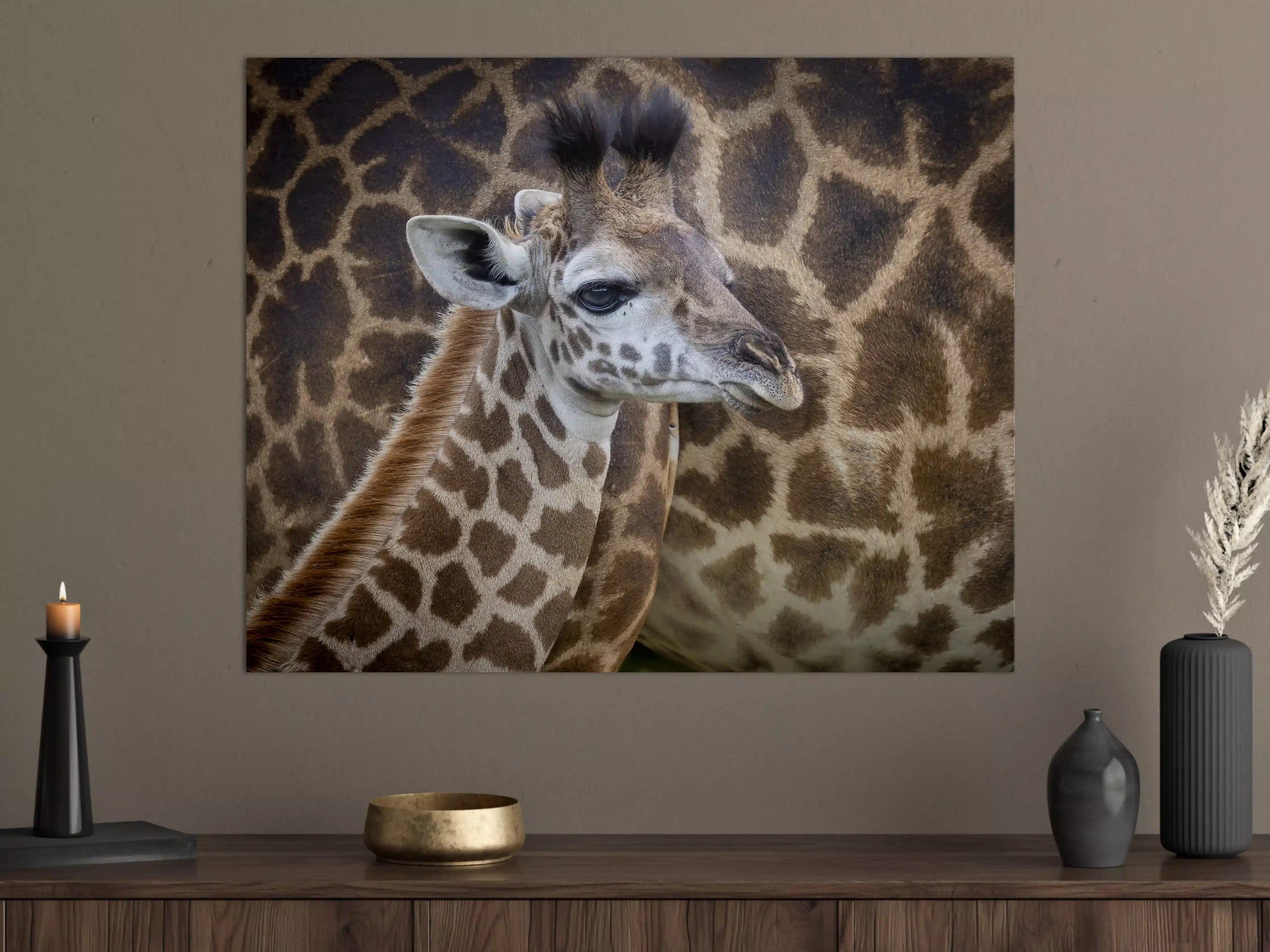 Große Wandbilder - Elegantes Giraffenporträt vor tierischer Kulisse