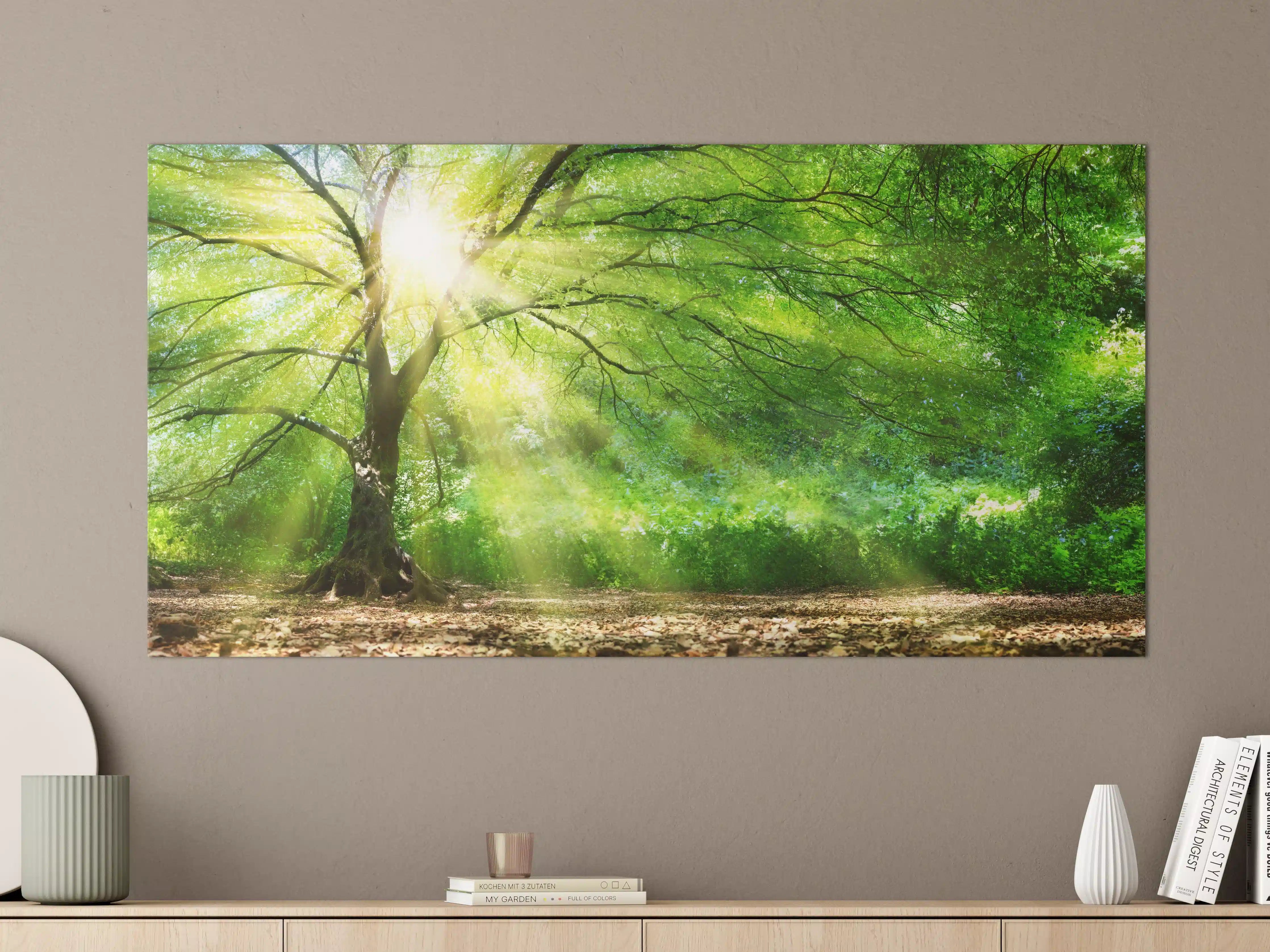 Große Wandbilder - Energiegeladener Wald