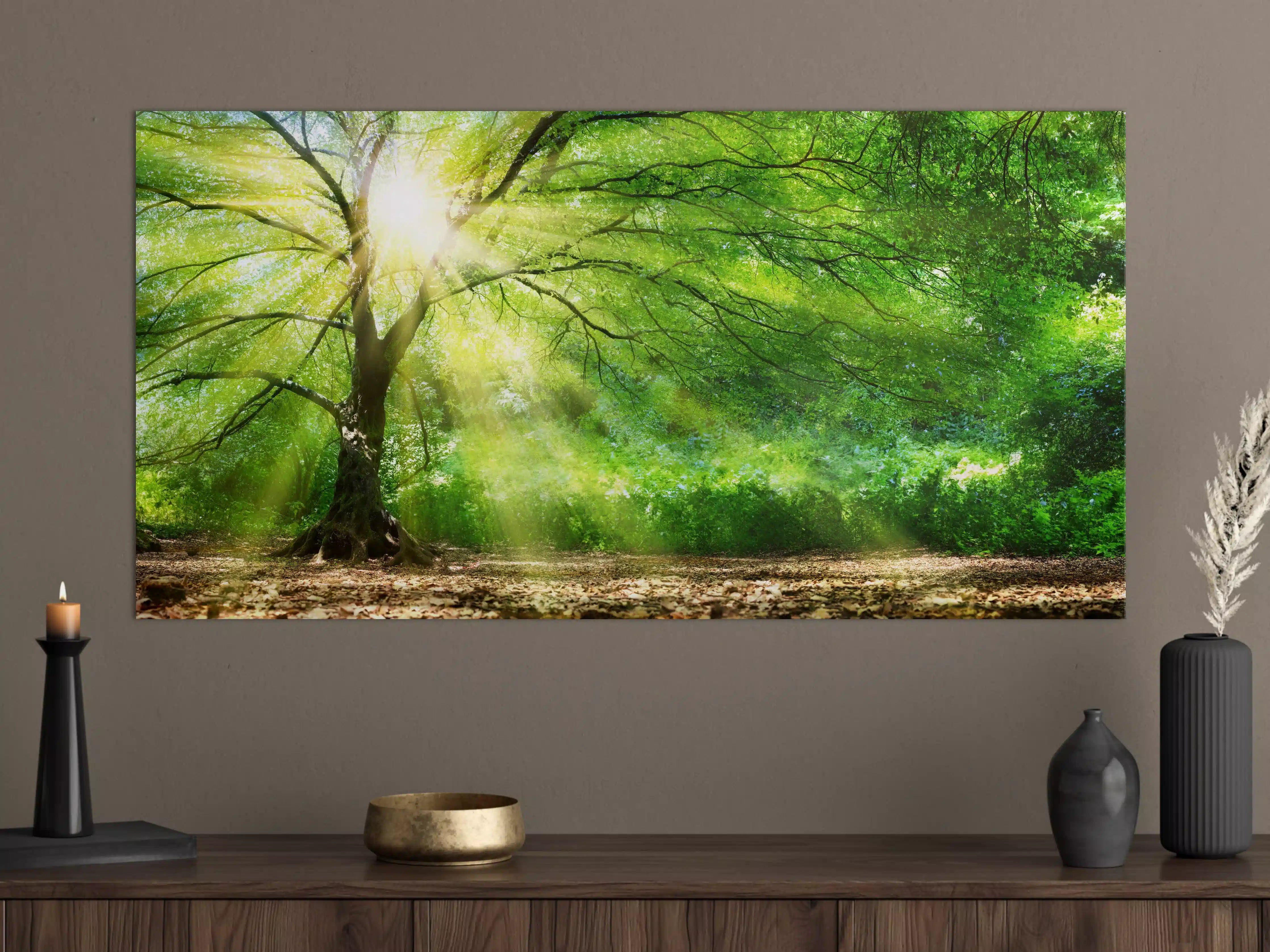 Große Wandbilder - Energiegeladener Wald