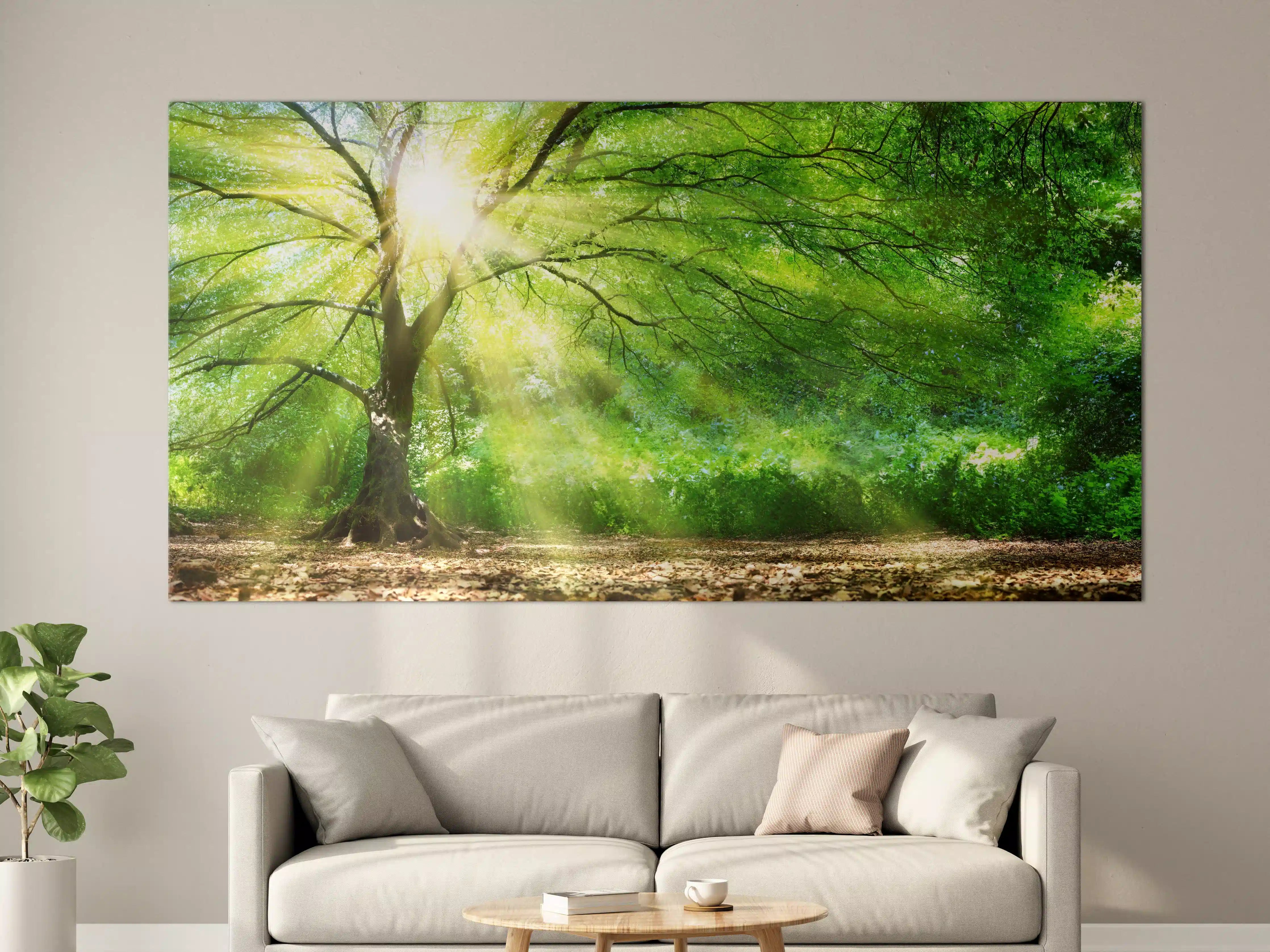 Große Wandbilder - Energiegeladener Wald