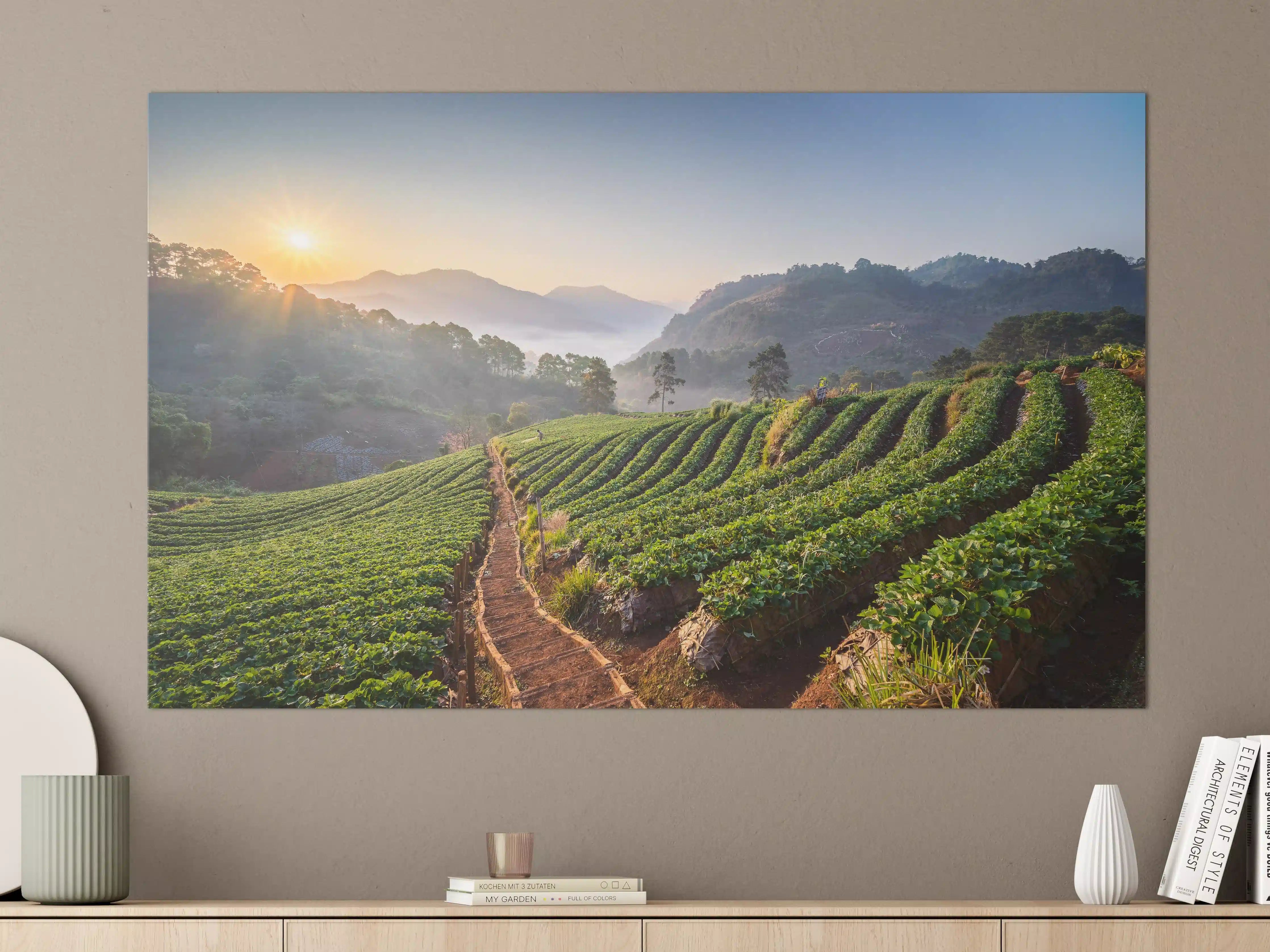 Große Wandbilder - Erdbeerfeld in Chiang Mai