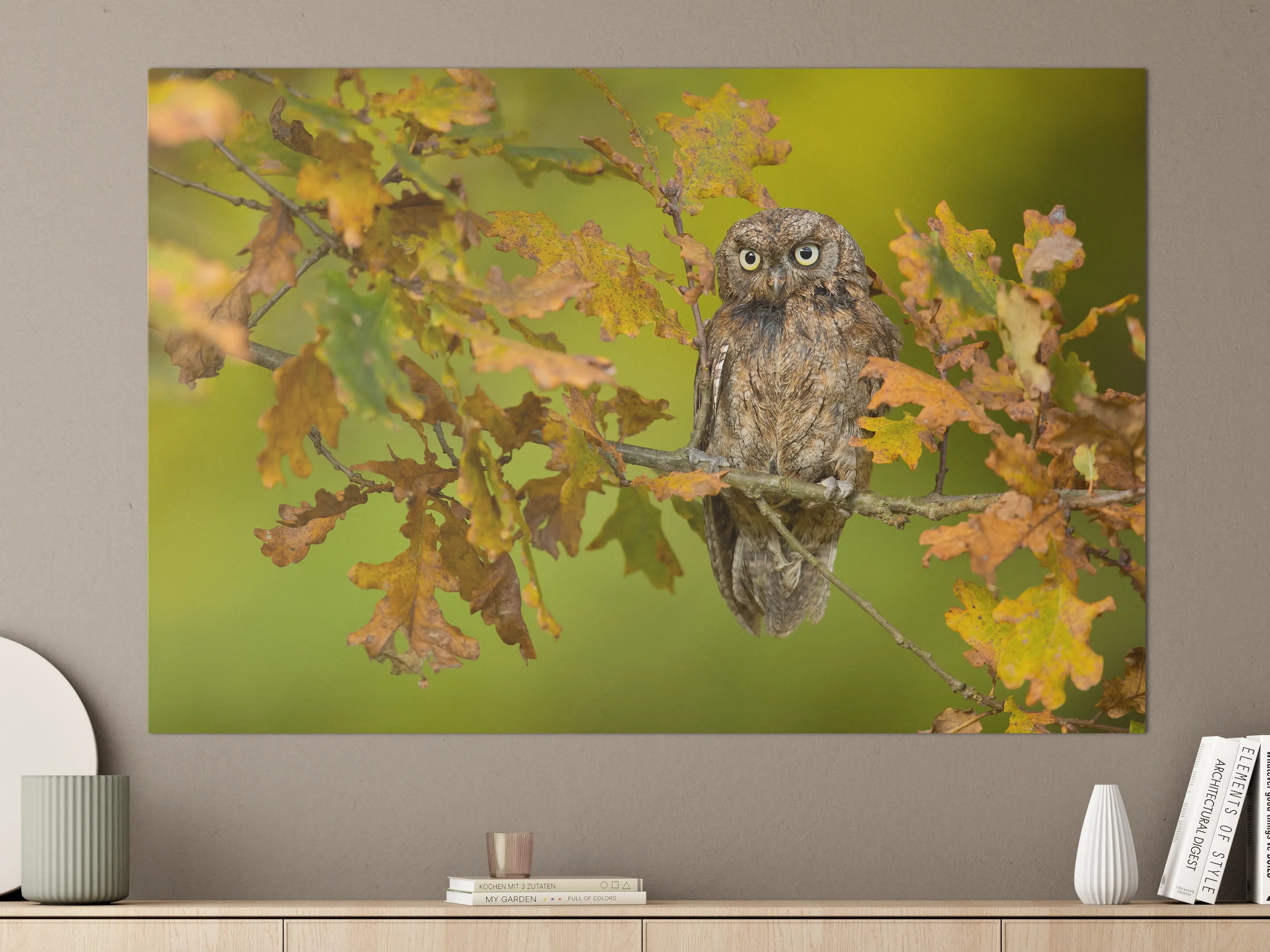 Große Wandbilder - Eulenportrait im Herbstlaub