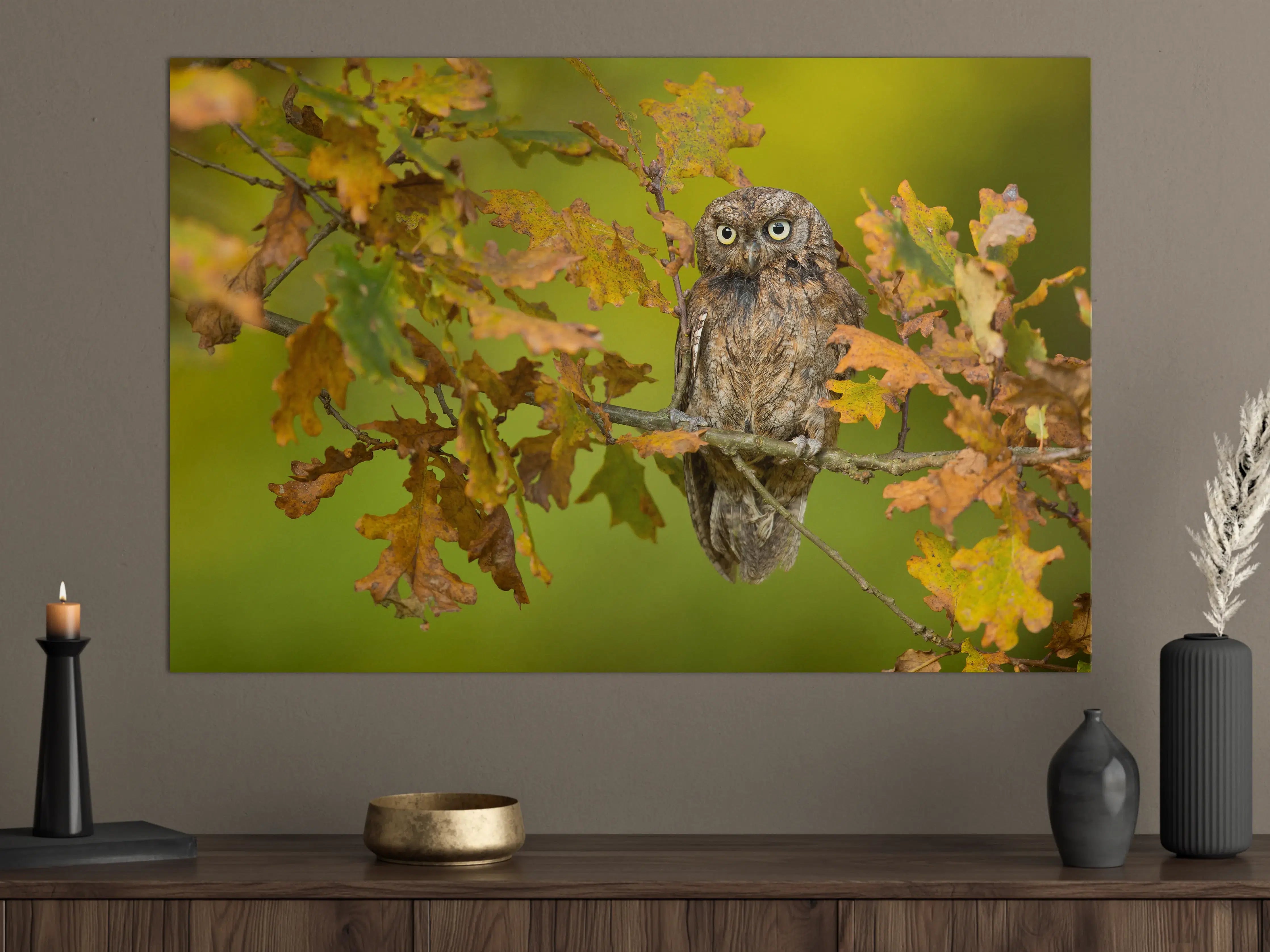 Große Wandbilder - Eulenportrait im Herbstlaub