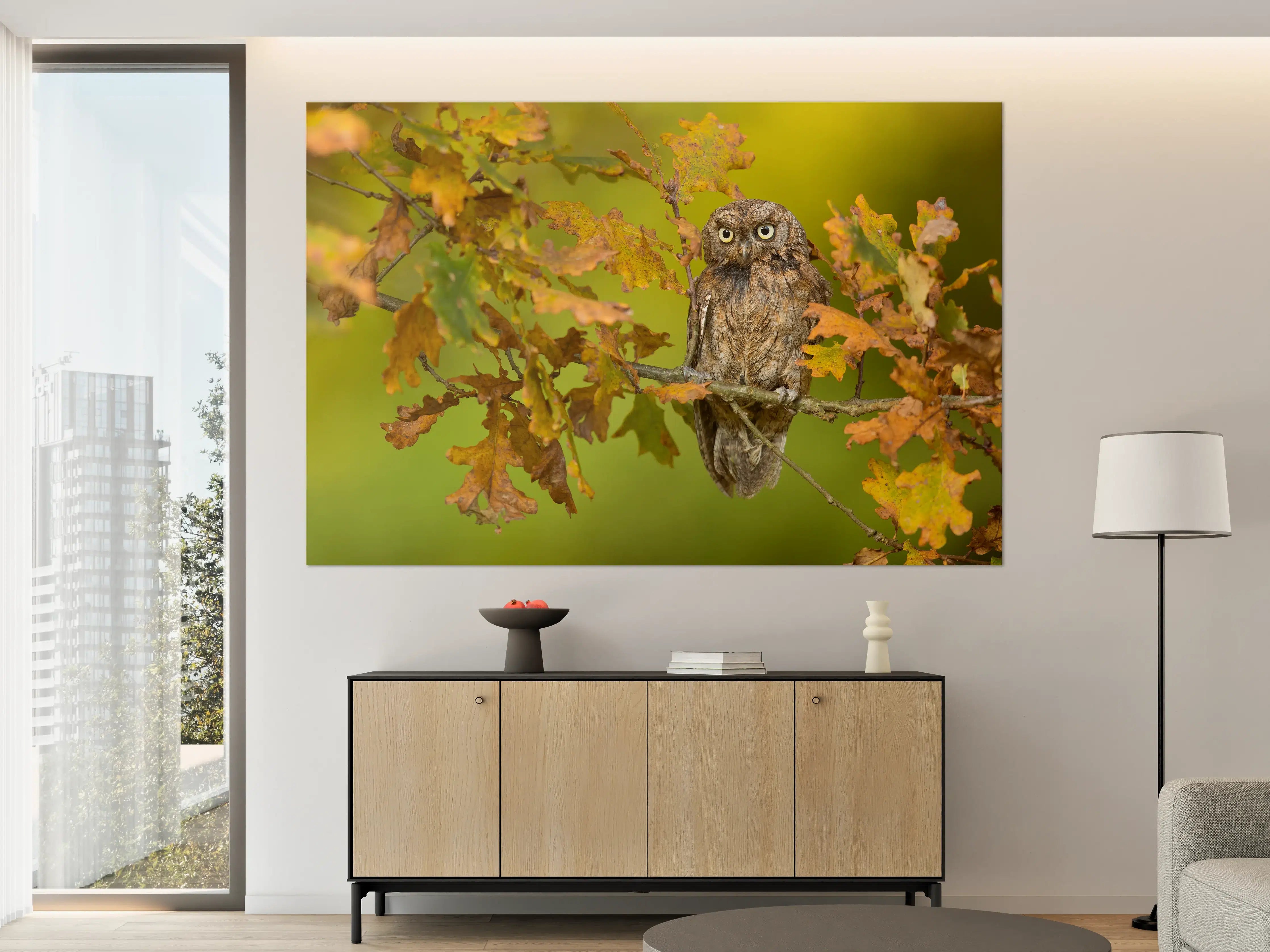 Große Wandbilder - Eulenportrait im Herbstlaub
