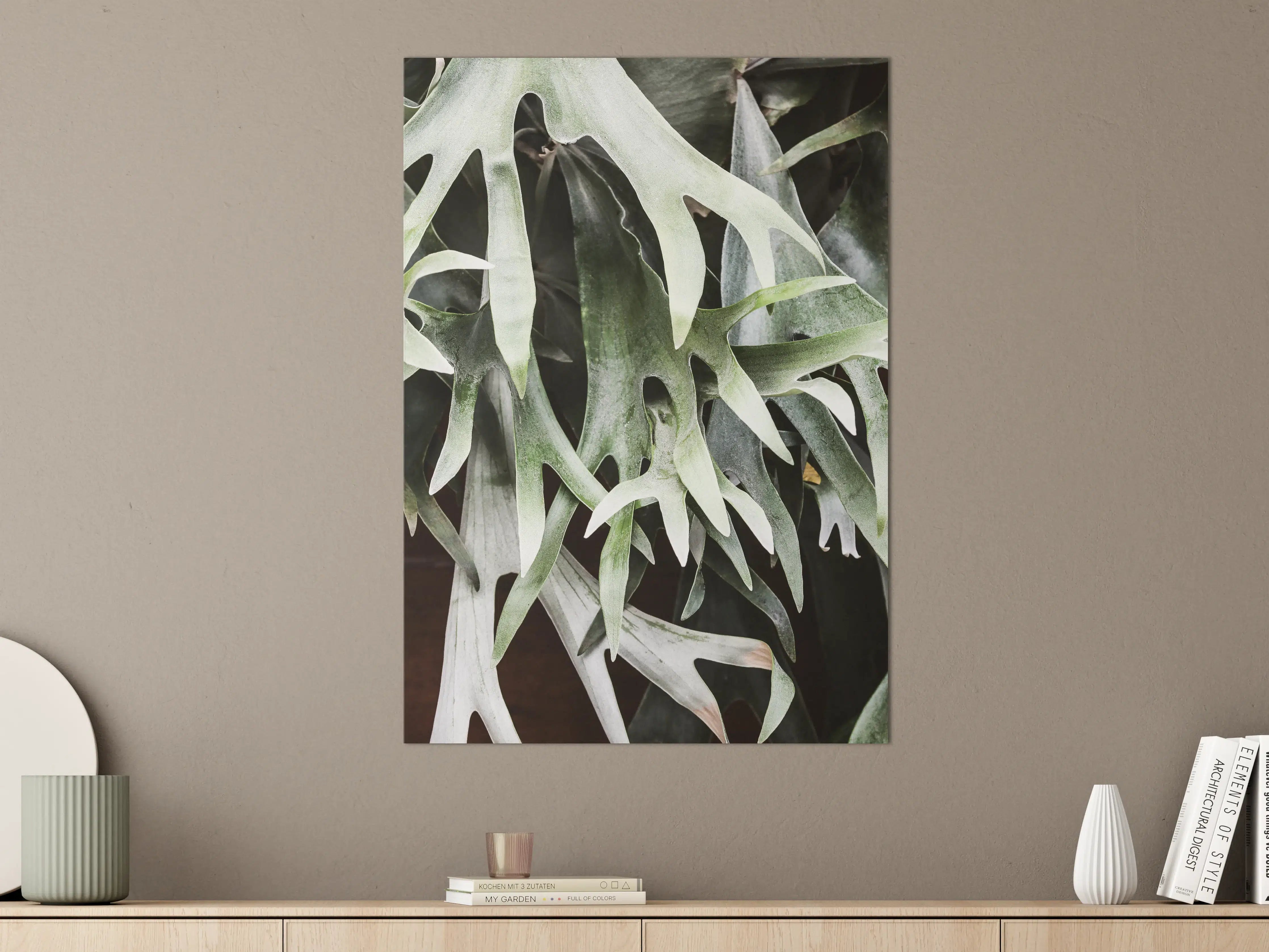 Große Wandbilder - Exotisches Staghorn Farnblatt
