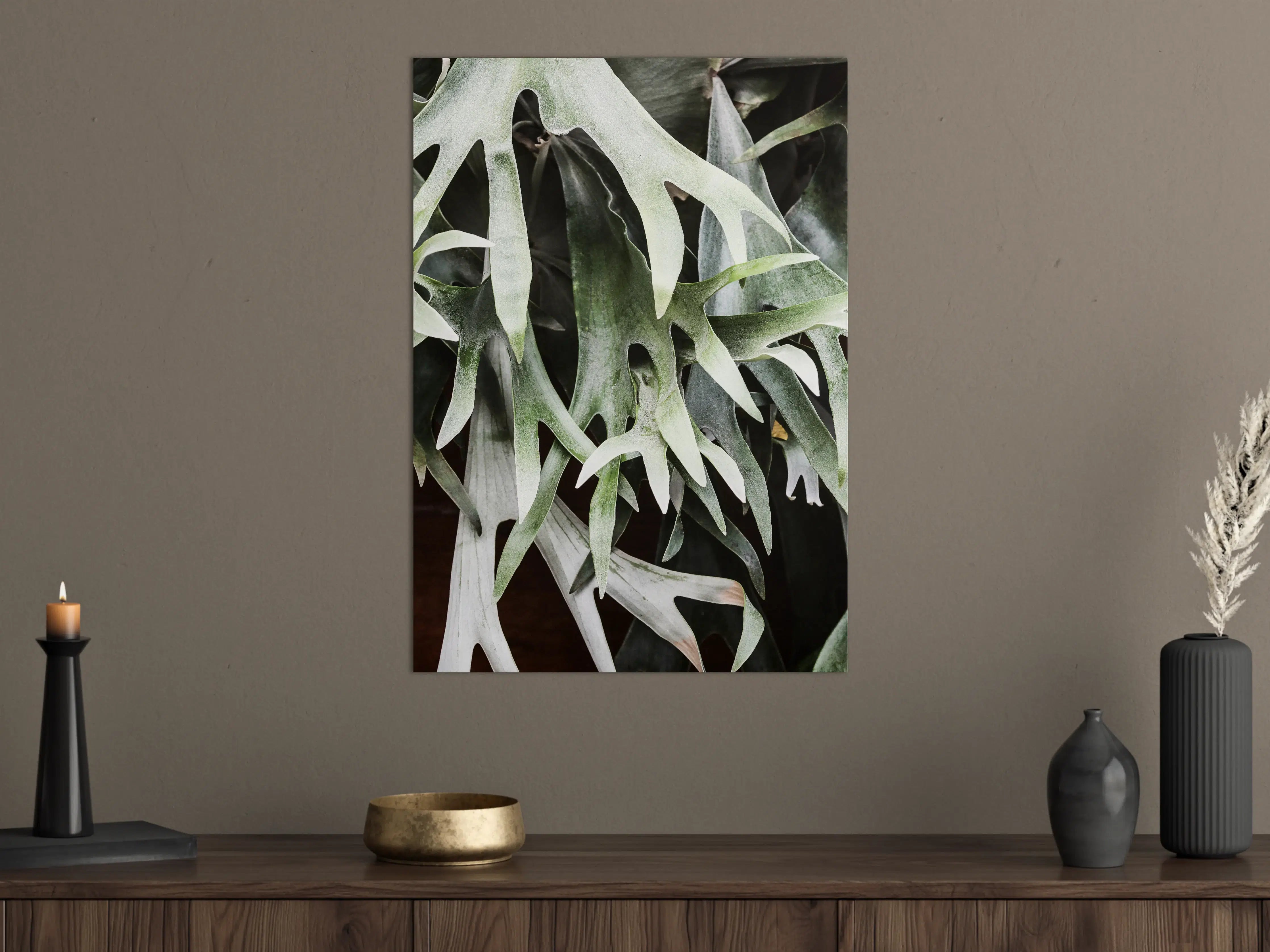 Große Wandbilder - Exotisches Staghorn Farnblatt