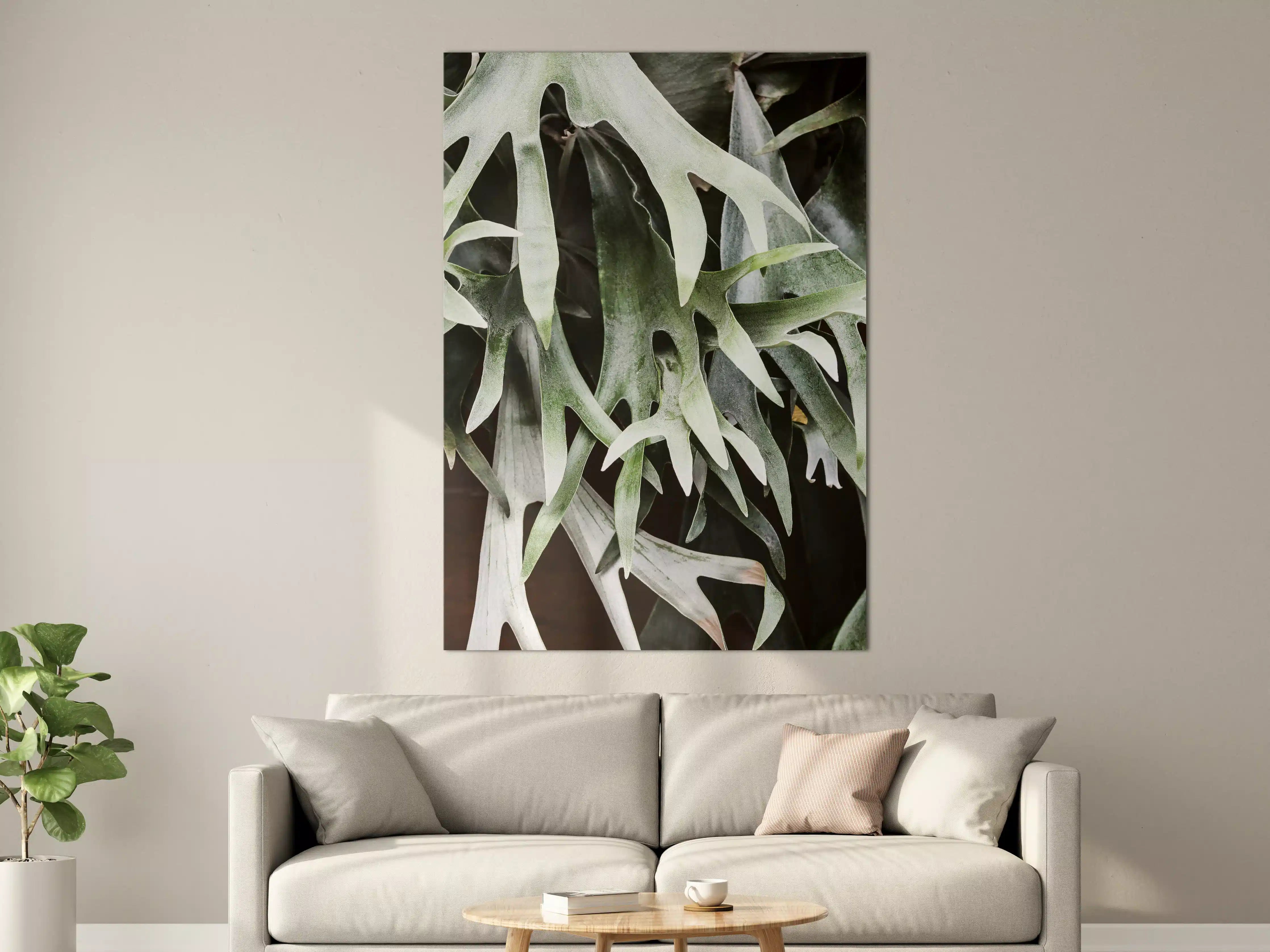 Große Wandbilder - Exotisches Staghorn Farnblatt