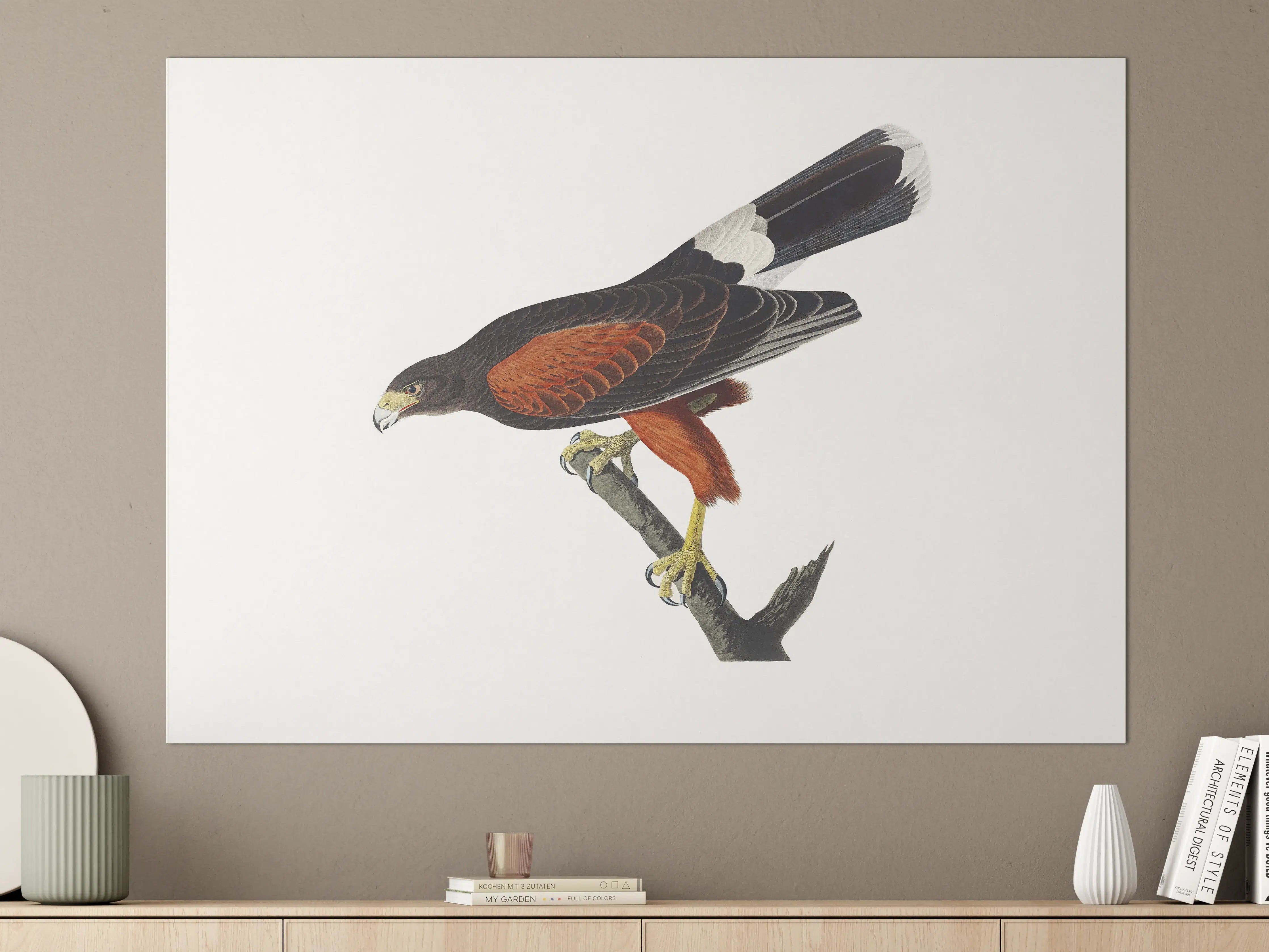 Große Wandbilder - Falken Portrait - John James Audubon