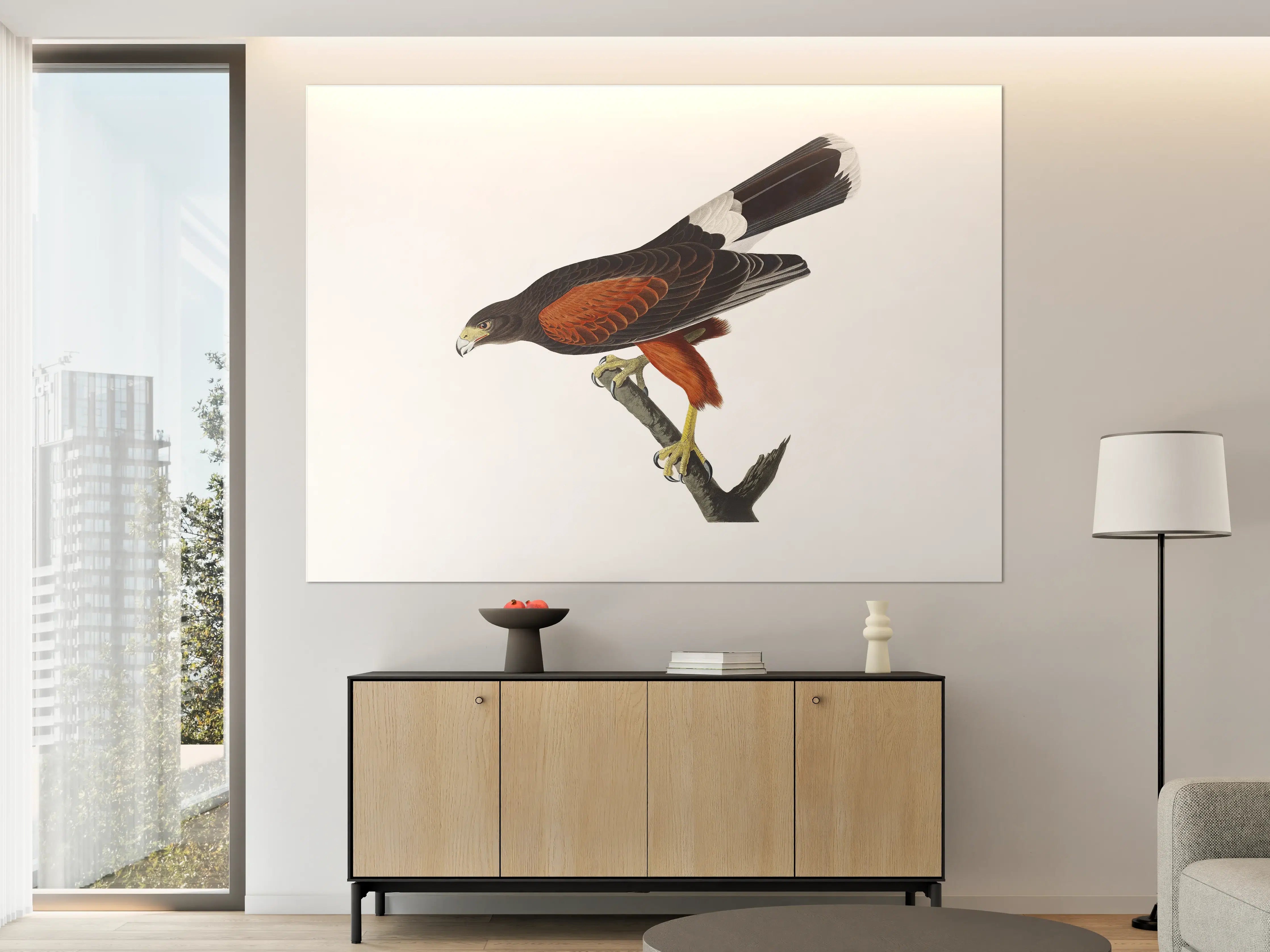 Große Wandbilder - Falken Portrait - John James Audubon