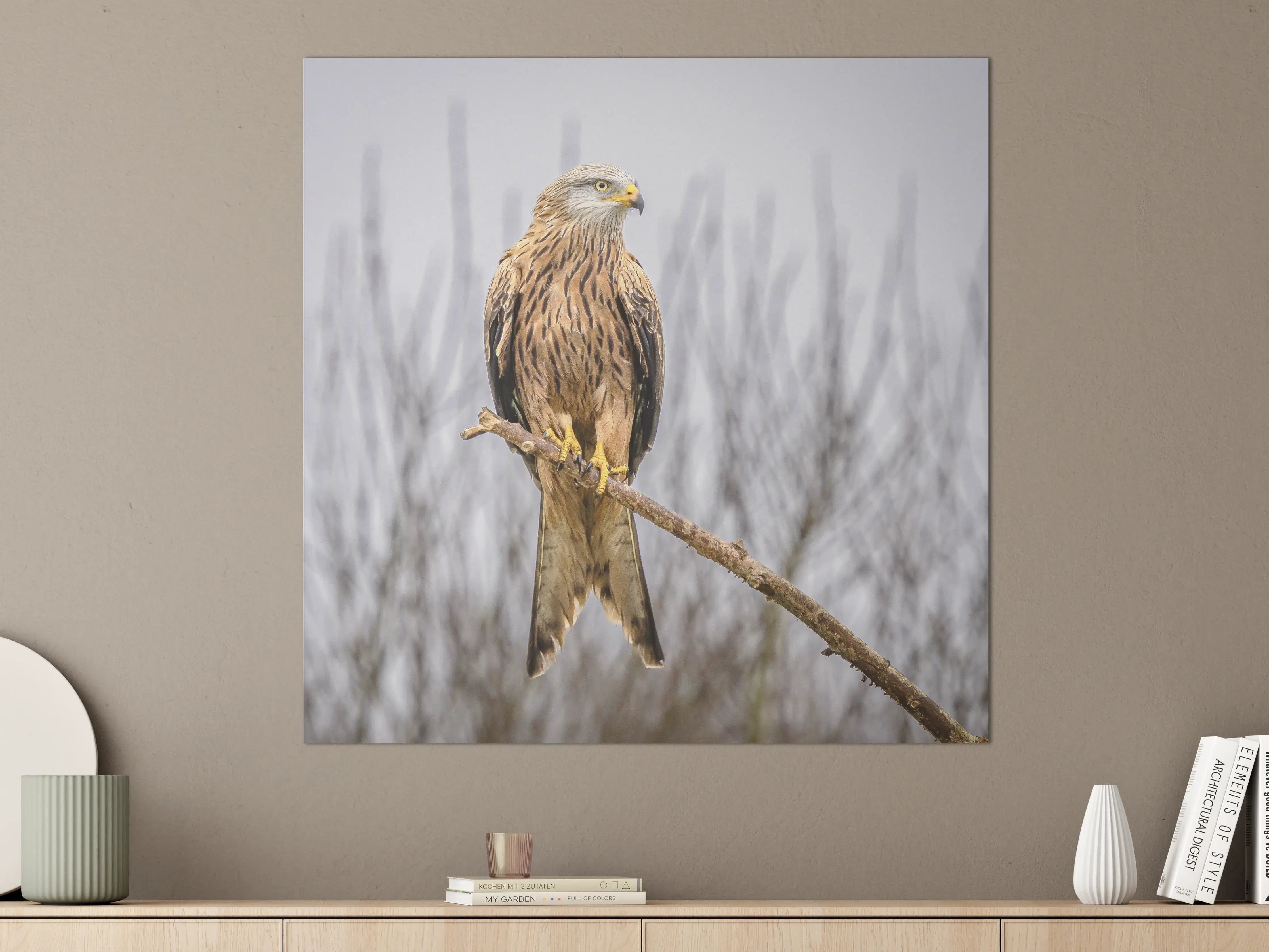 Große Wandbilder - Falkenportrait in natürlicher Umgebung