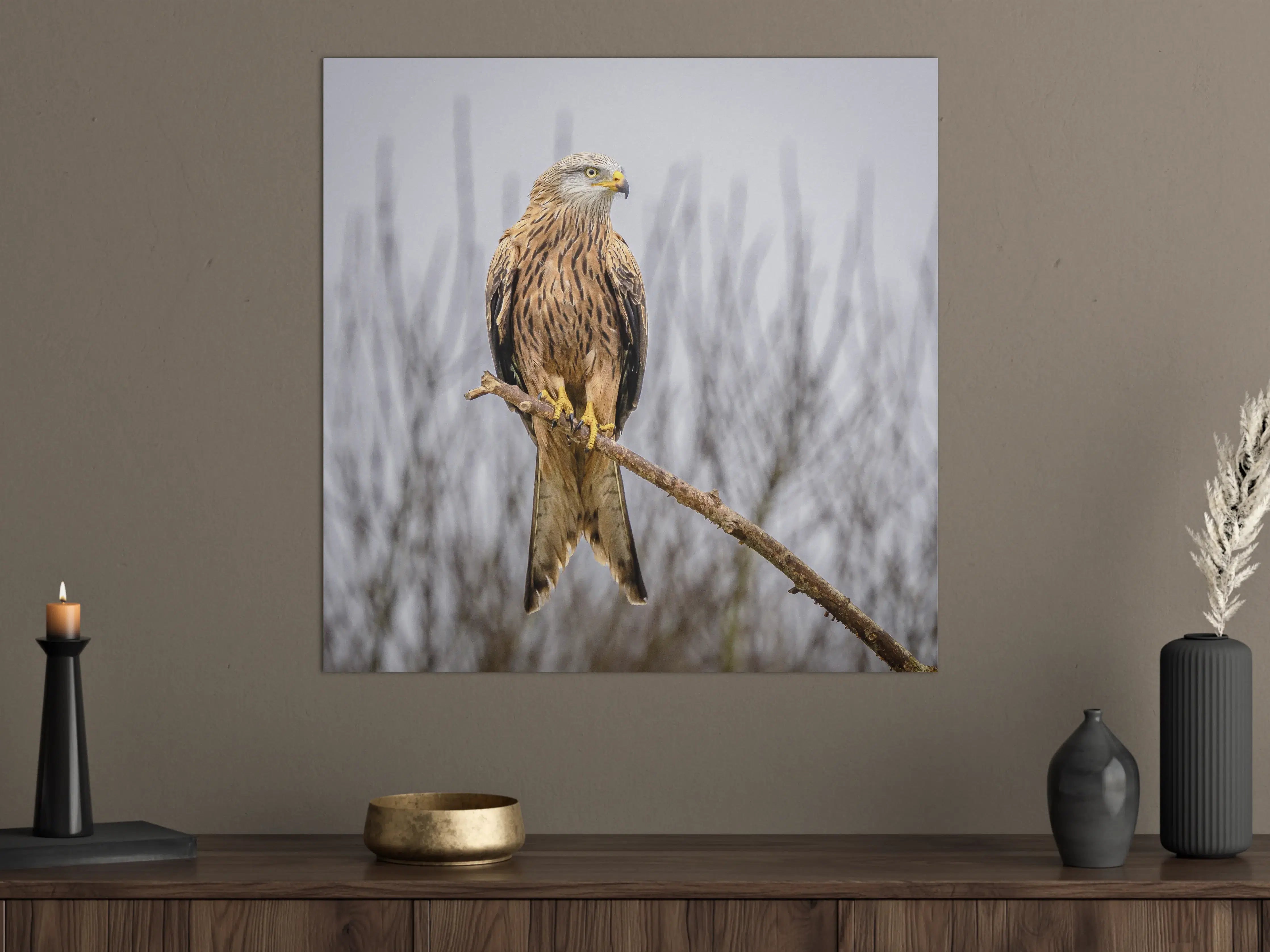 Große Wandbilder - Falkenportrait in natürlicher Umgebung