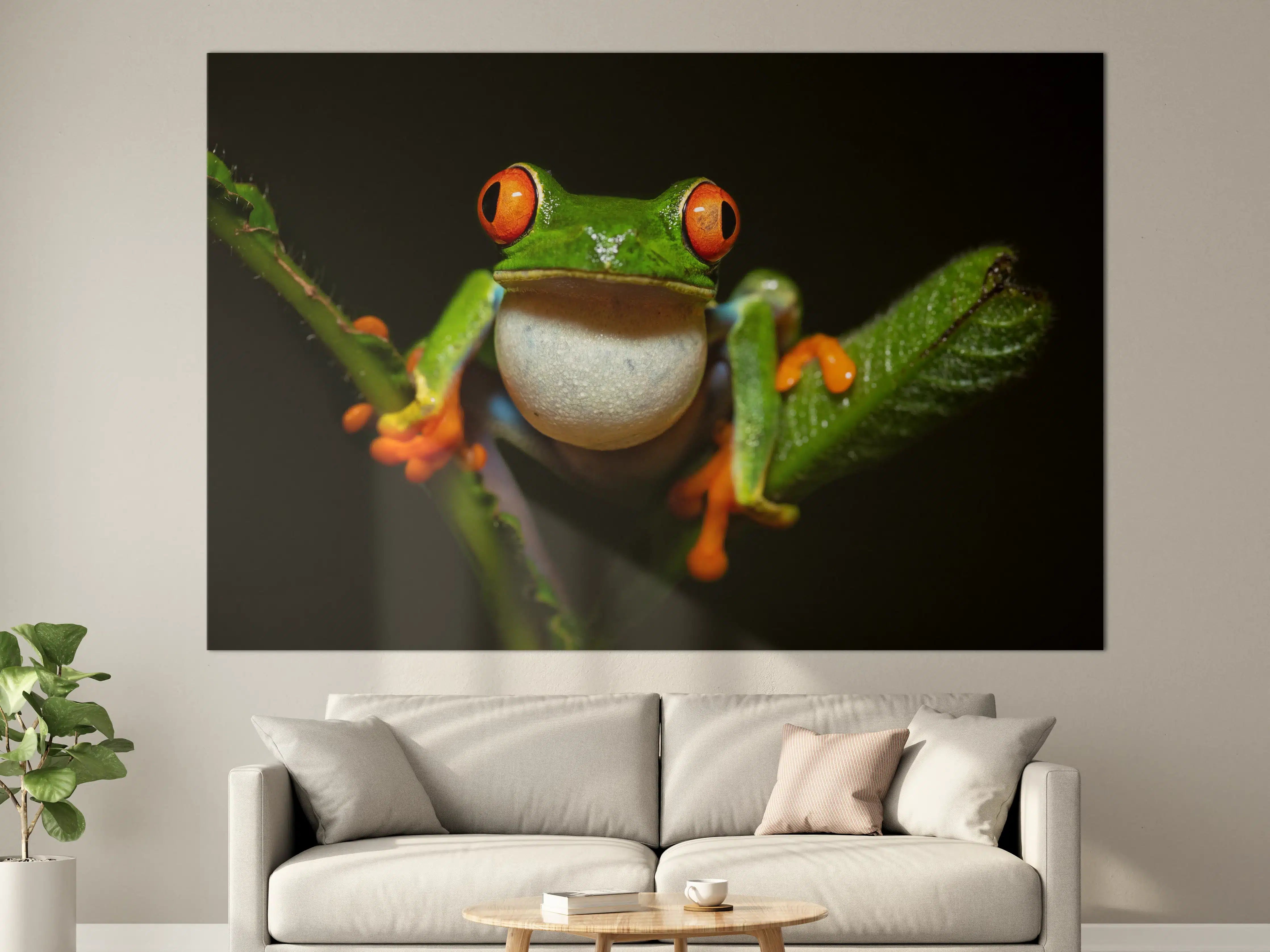 Große Wandbilder - Farbenfroher Baumsteiger-Frosch