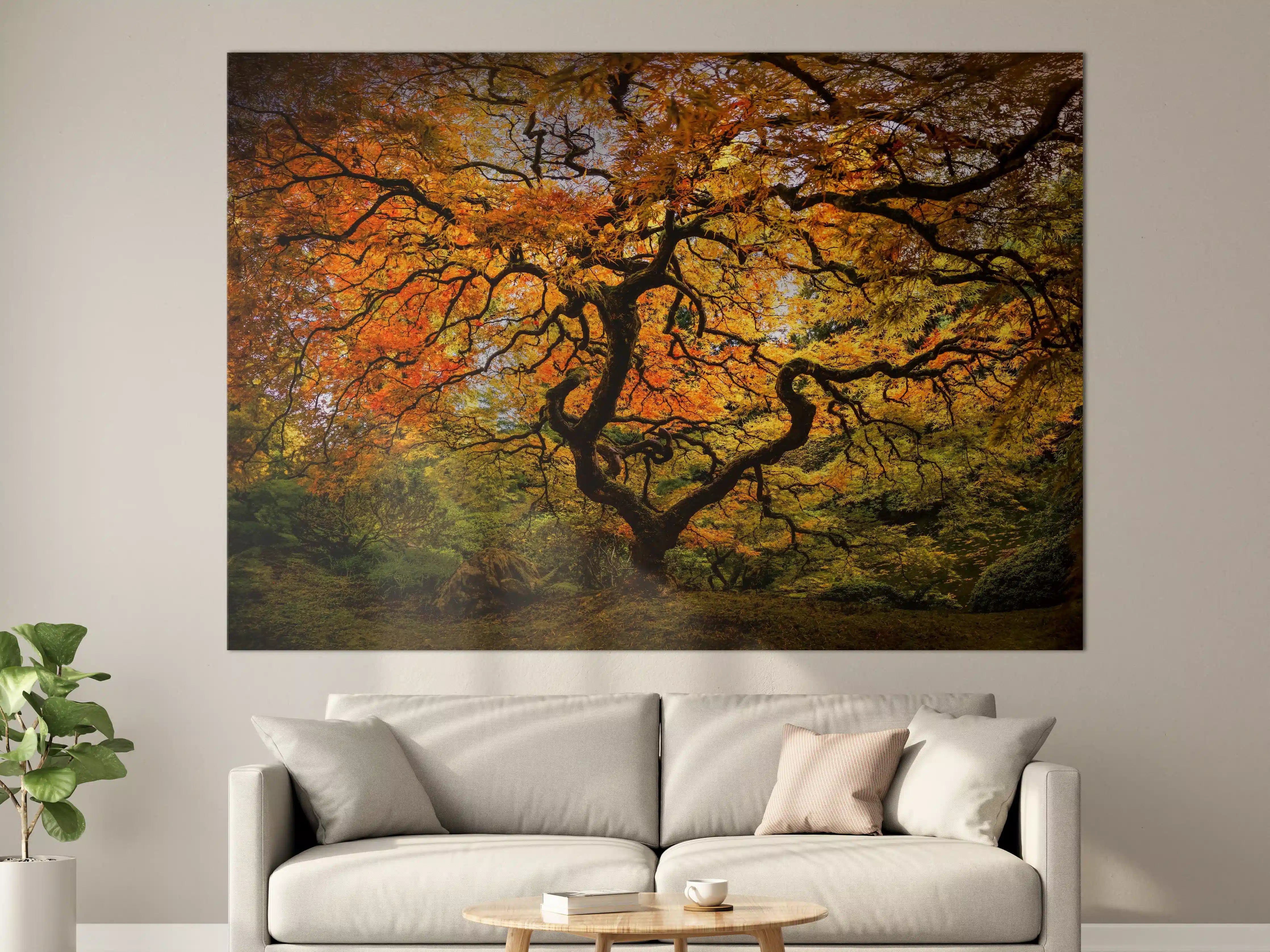 Große Wandbilder - Farbenfroher Herbstbaum in warmen Tönen
