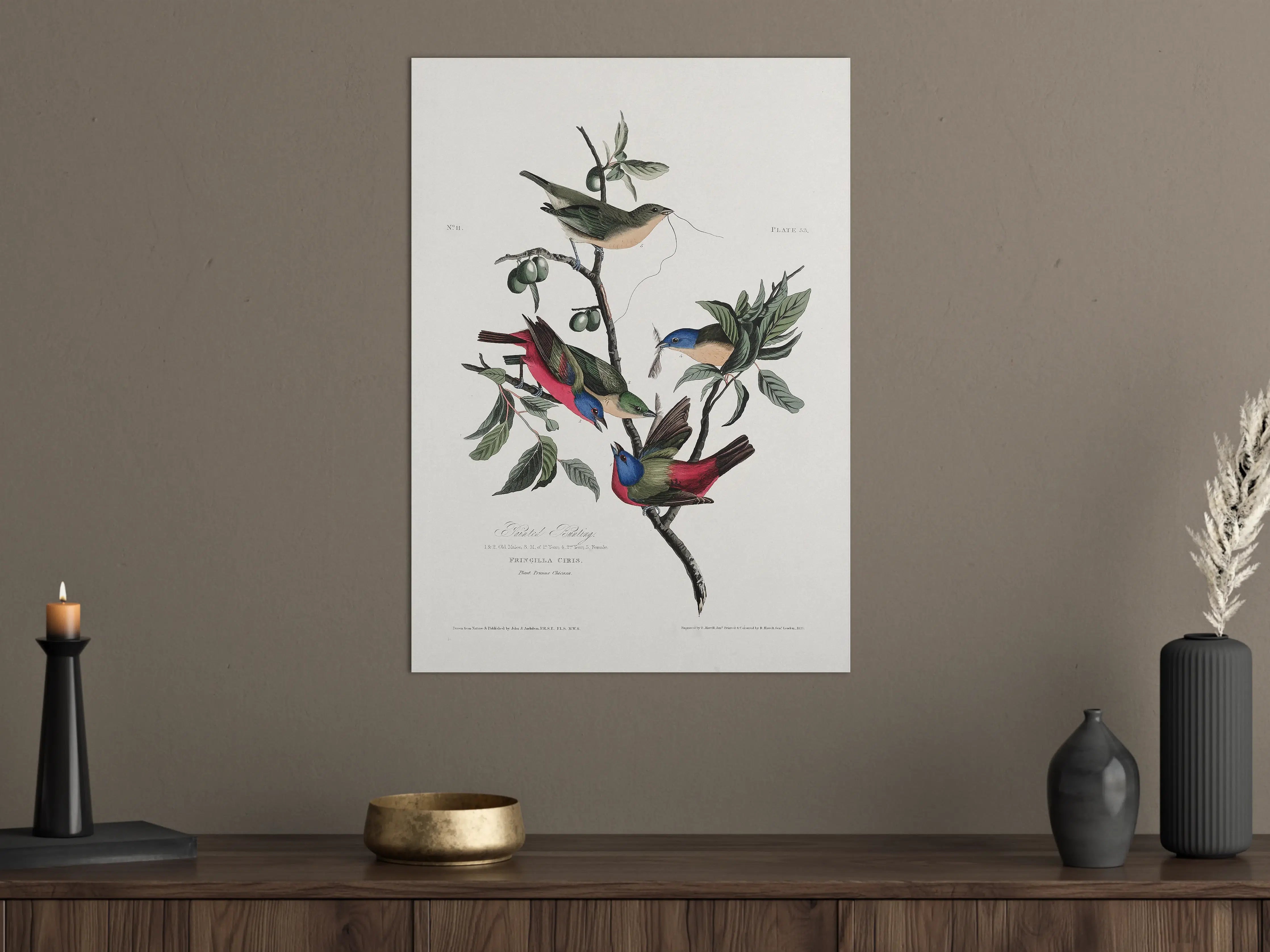 Große Wandbilder - Fink Portrait - John James Audubon