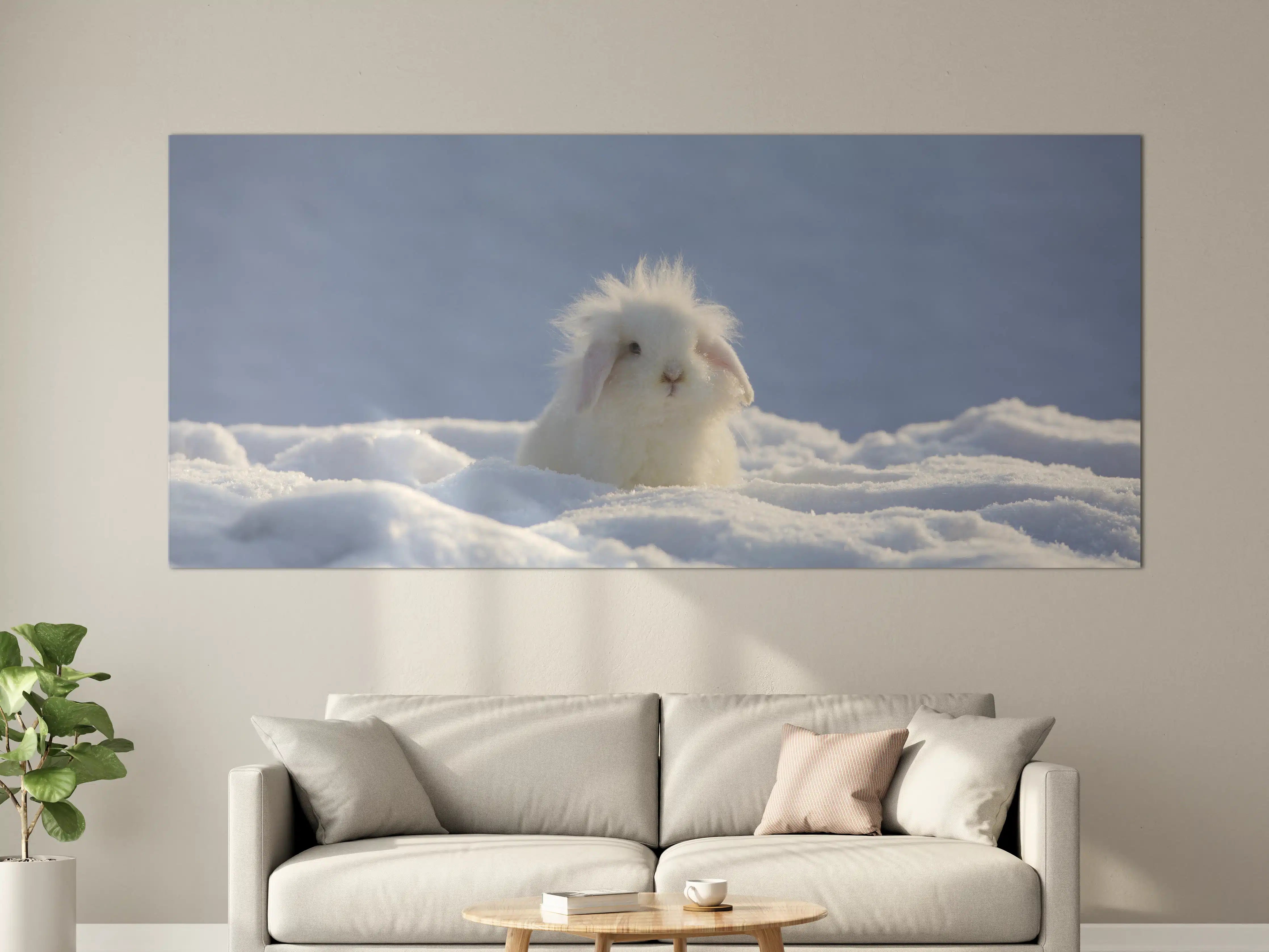 Große Wandbilder - Flauschiges Kaninchen im Schnee