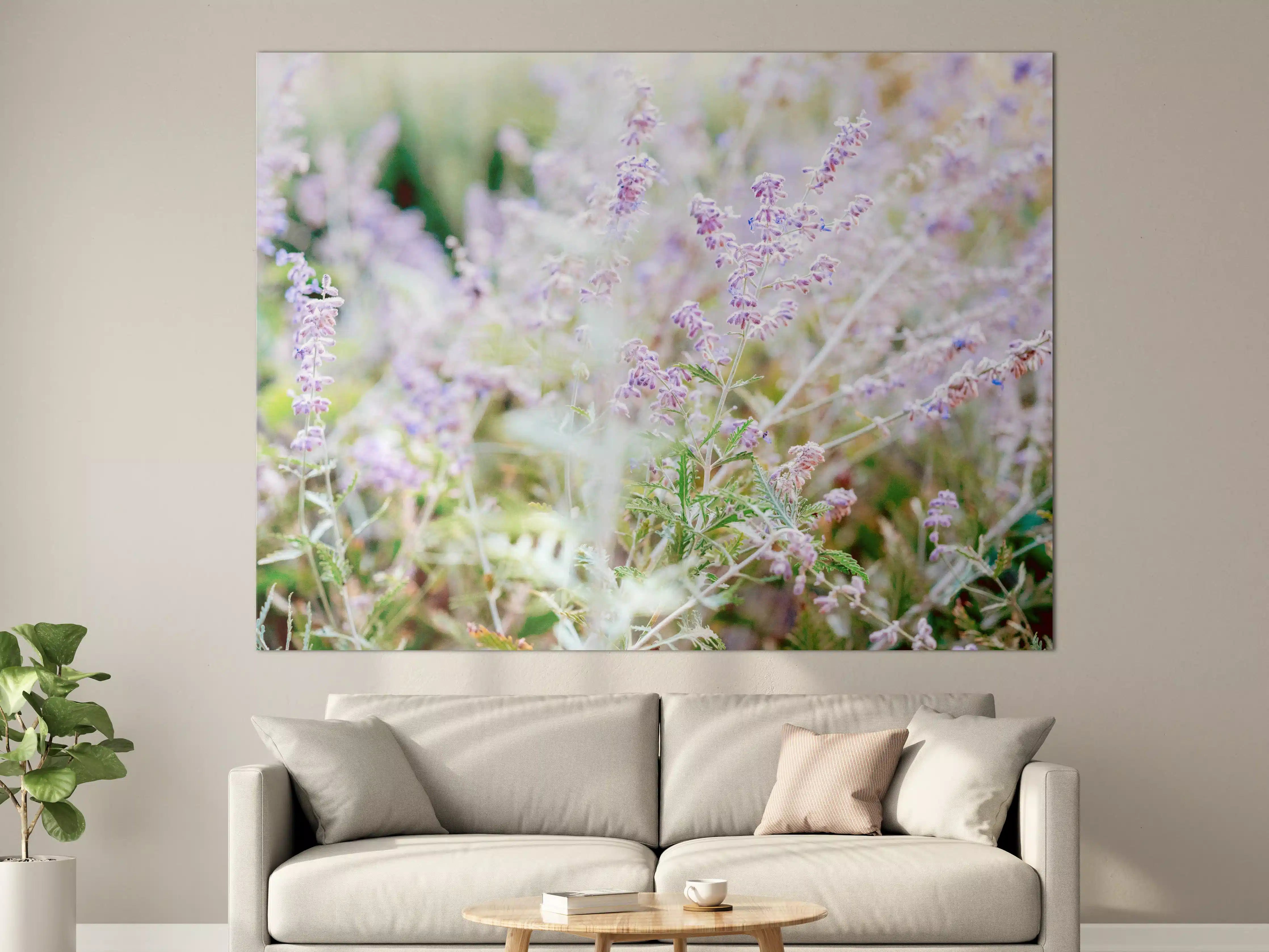 Große Wandbilder - Florale Wildblumenwiese in Pastelltönen