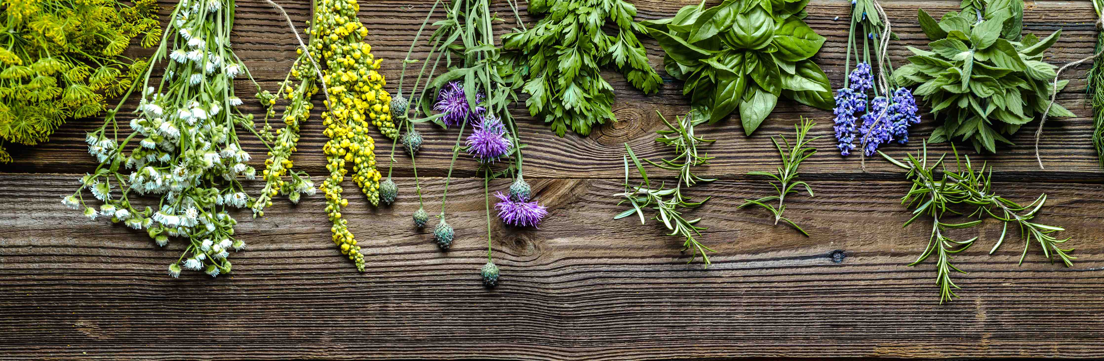 Große Wandbilder-Frisch geerntete Kräuter und Blumen auf Holz
