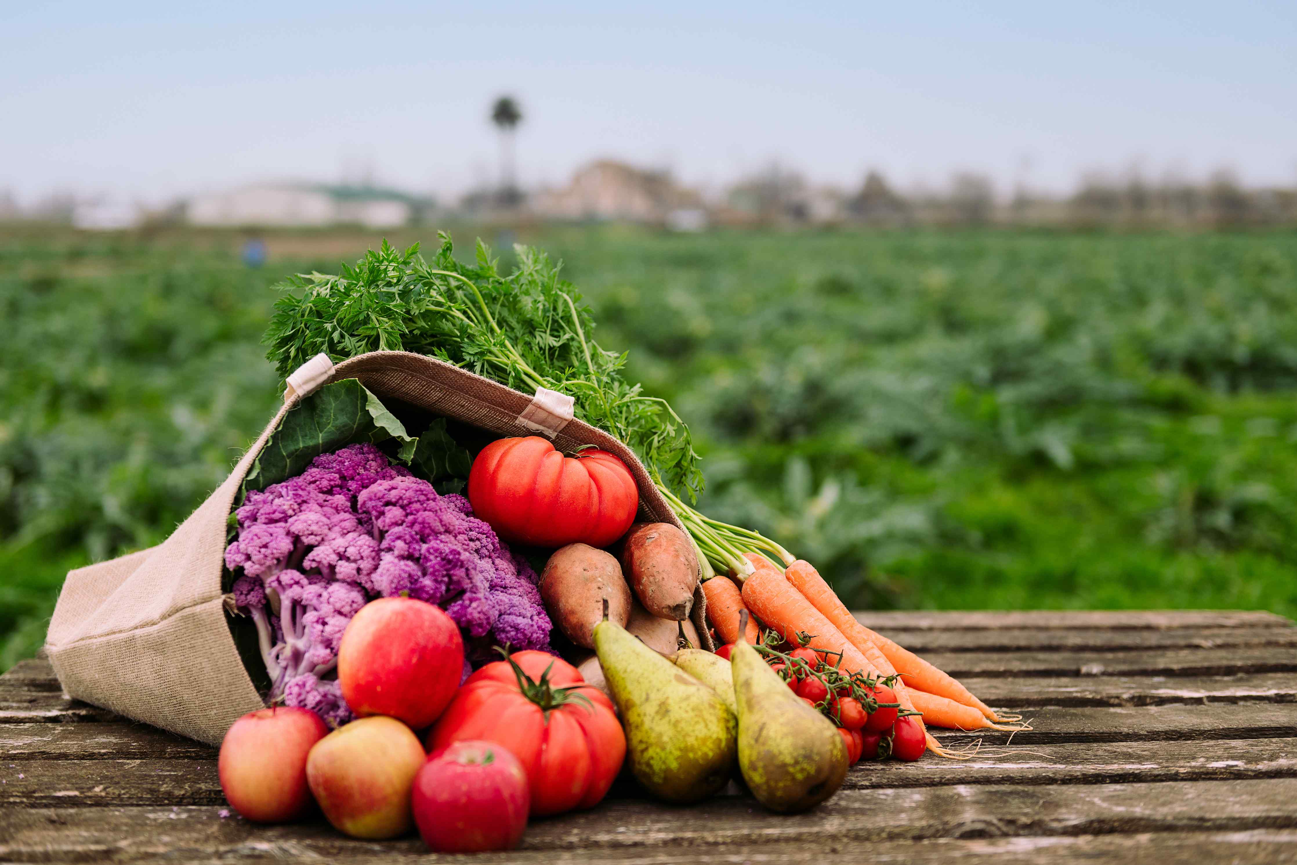 Große Wandbilder-Frische Bio-Ernte in Bunt