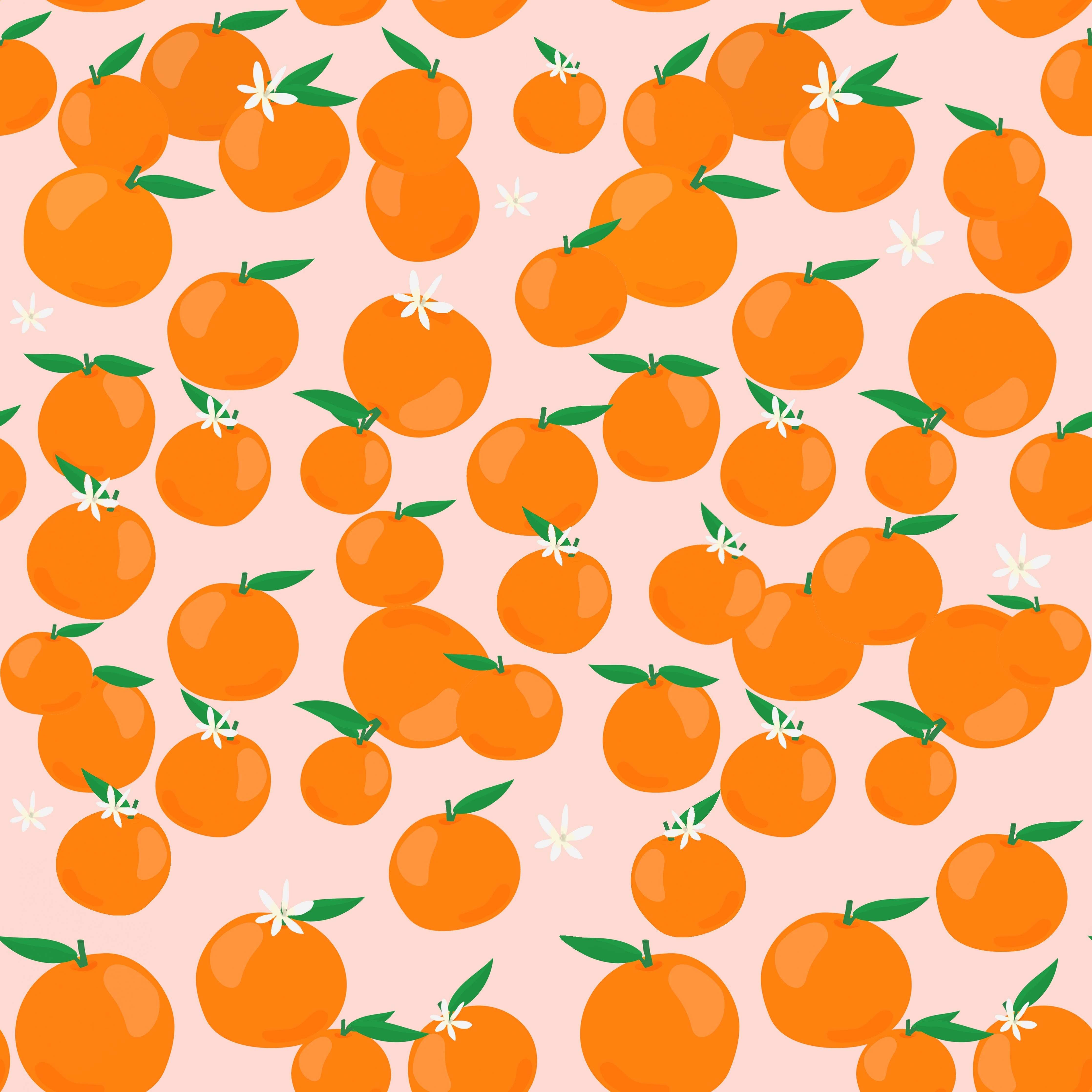 Große Wandbilder-Frische Orangen in Pastellpink