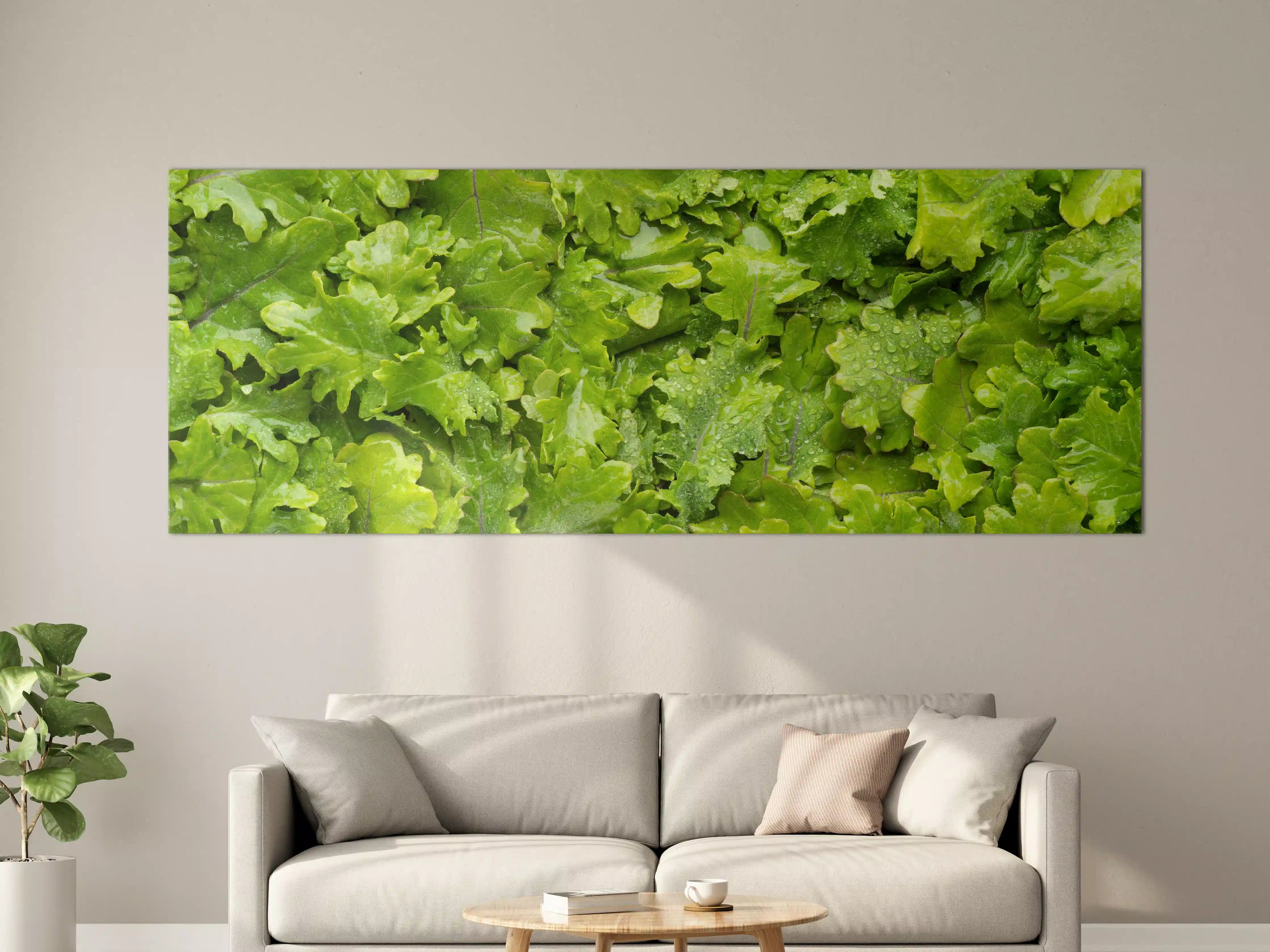 Große Wandbilder - Frischer Rucola-Blätter-Hintergrund
