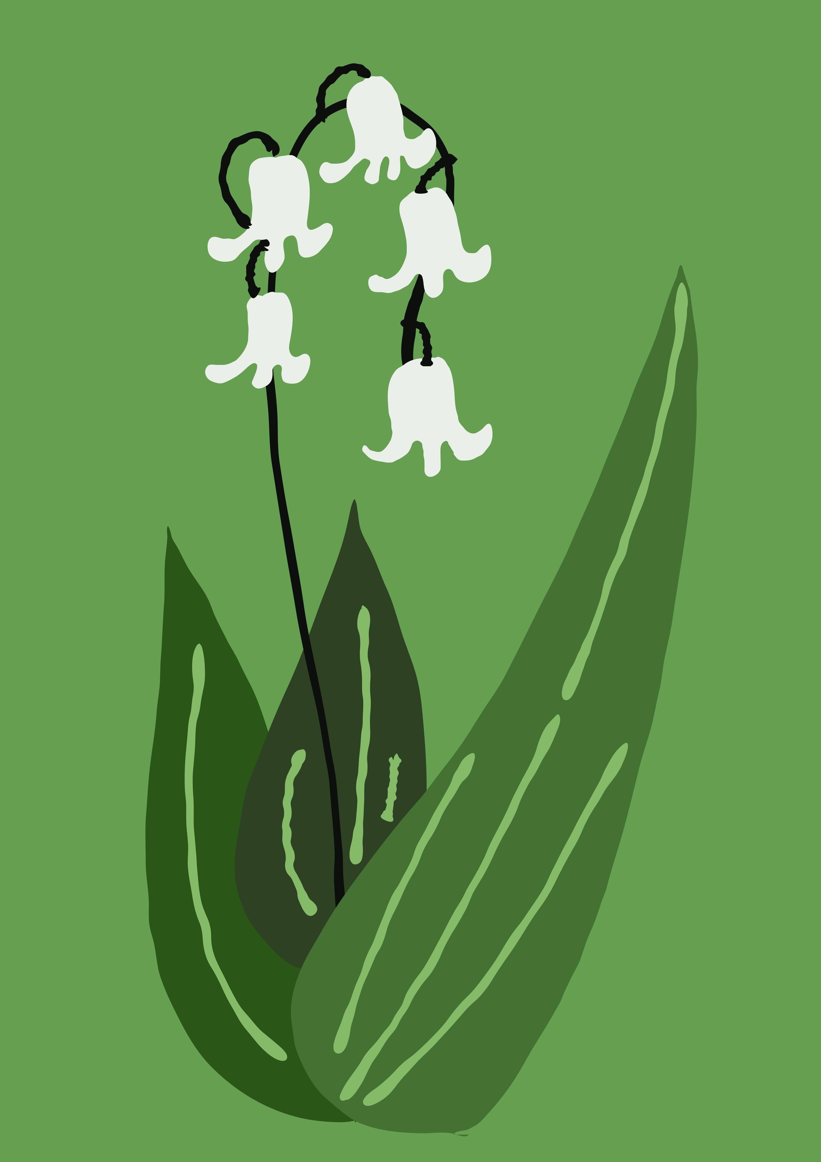 Große Wandbilder-Fröhliche Kirschblüten auf Grün