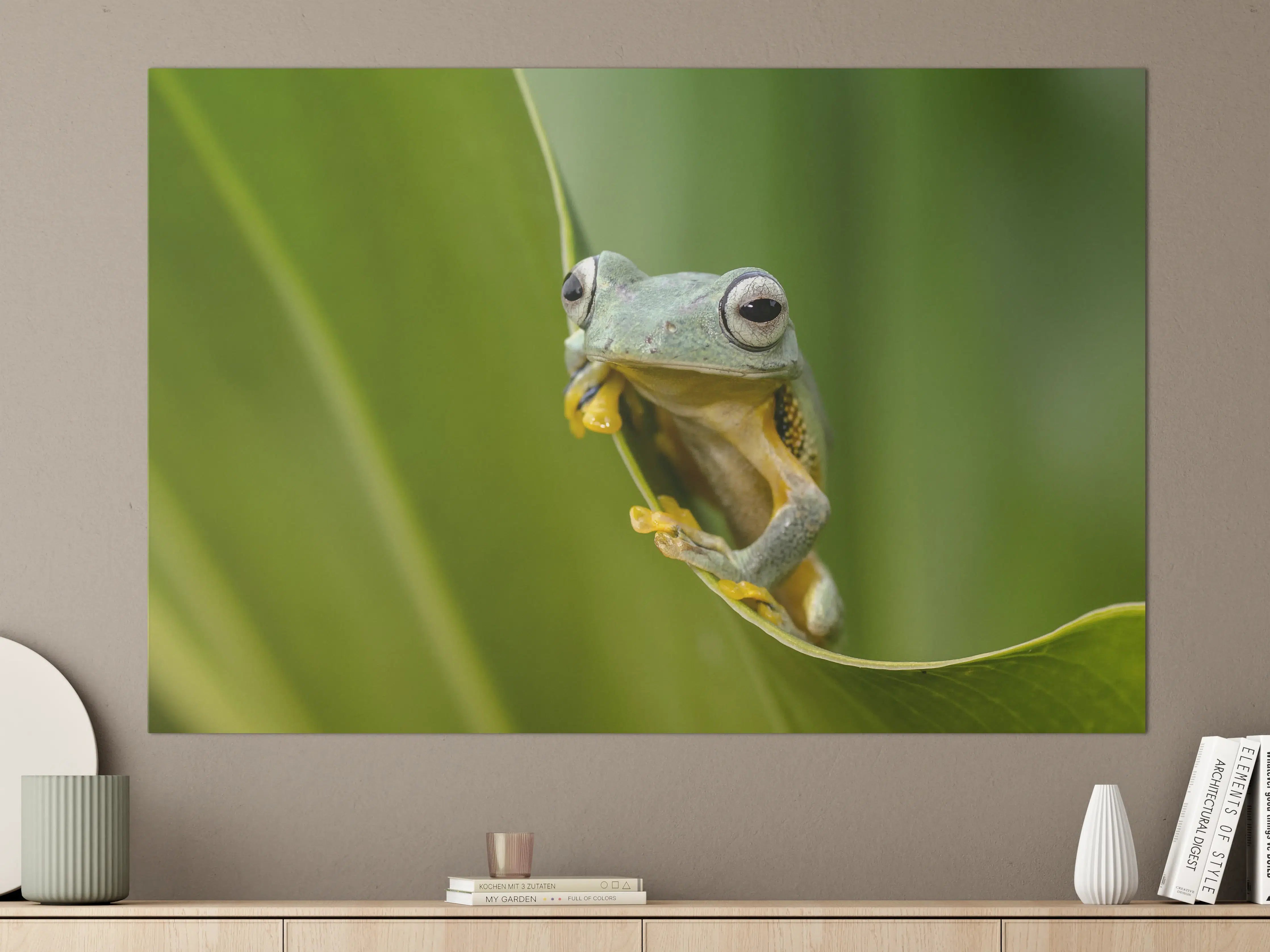 Große Wandbilder - Fröhlicher Frosch auf grüner Pflanze