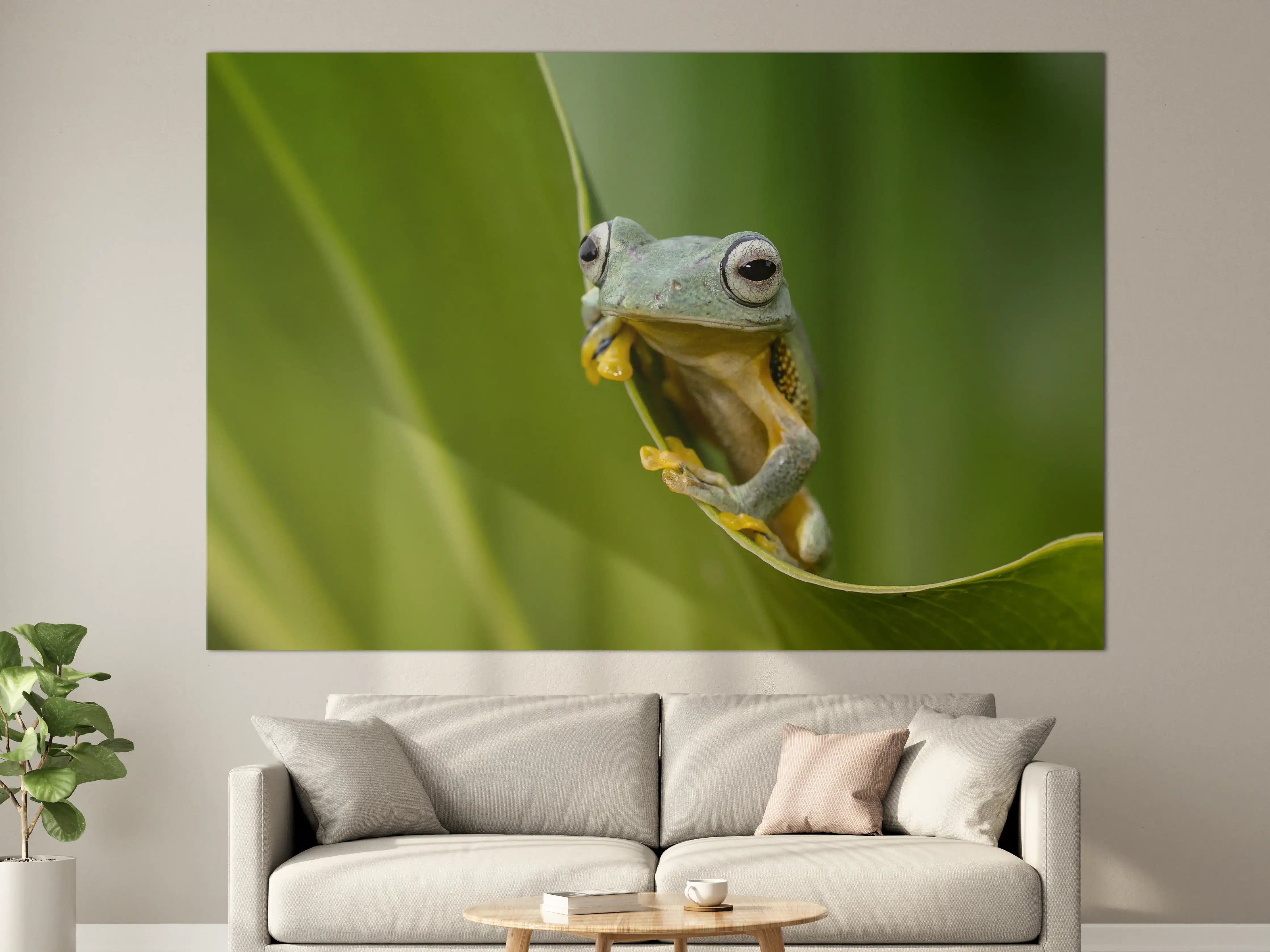 Große Wandbilder - Fröhlicher Frosch auf grüner Pflanze