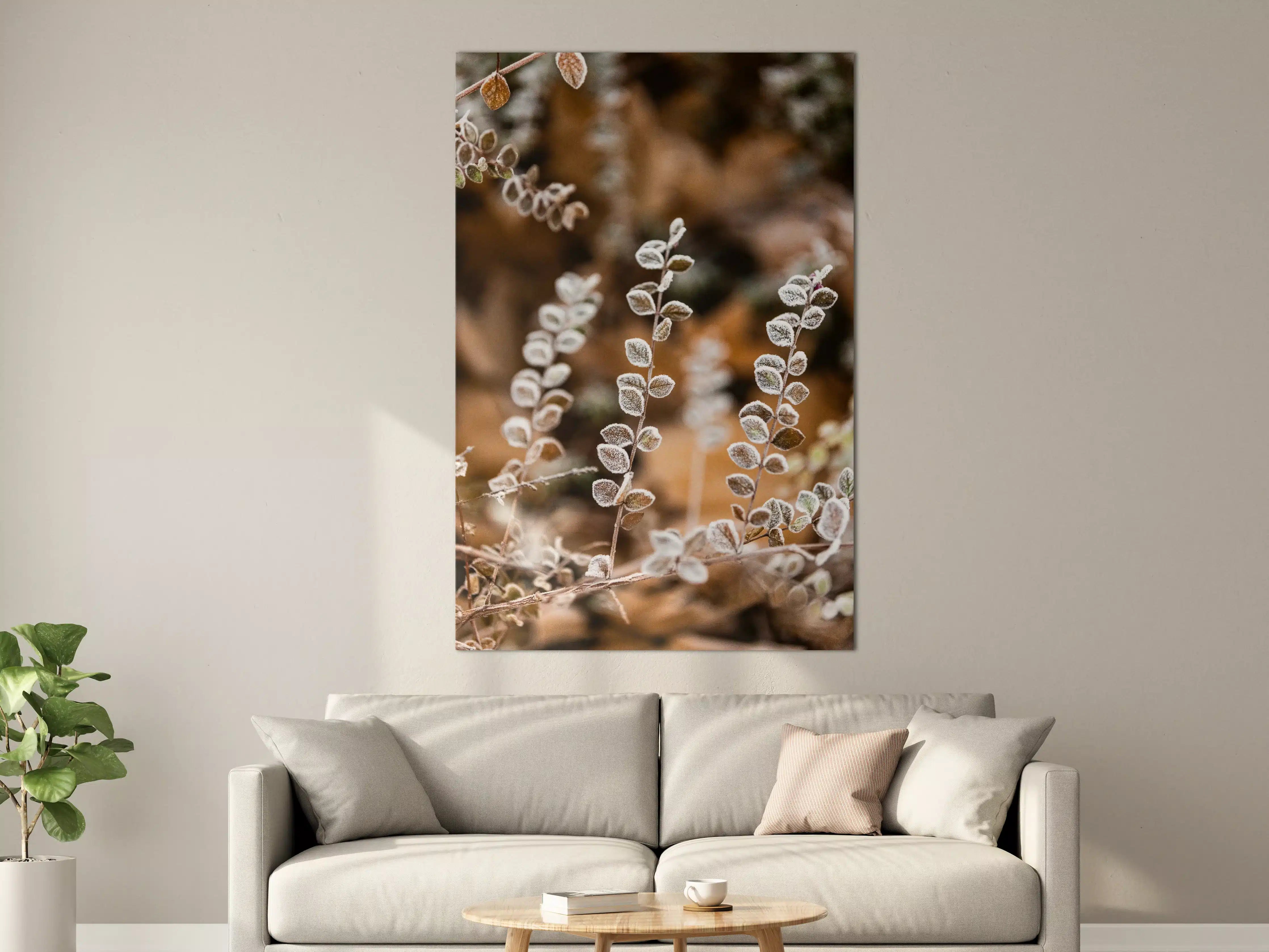 Große Wandbilder - Frostige Pflanzen im Herbst