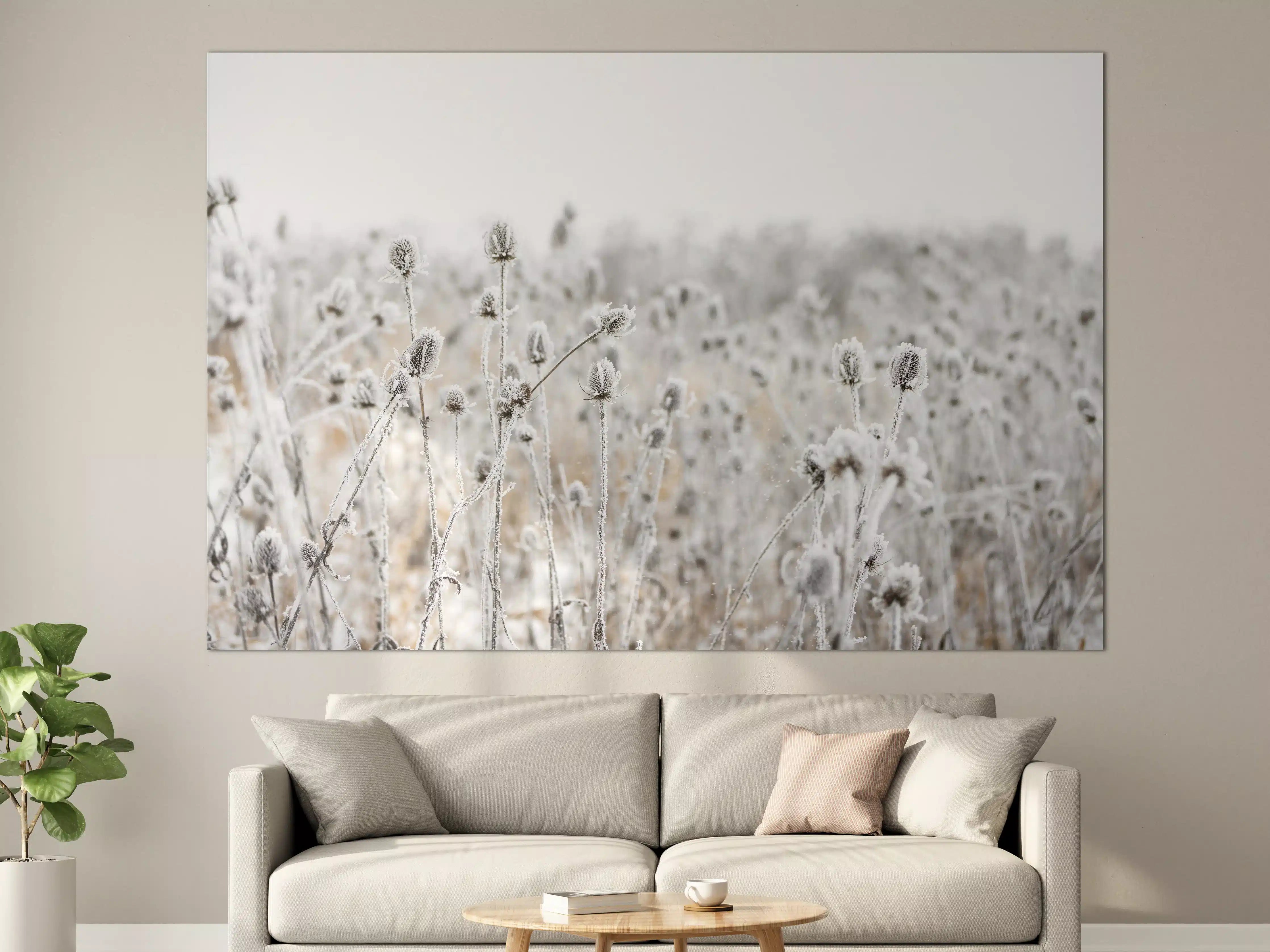 Große Wandbilder - Frostige Wildgraslandschaft im Winter