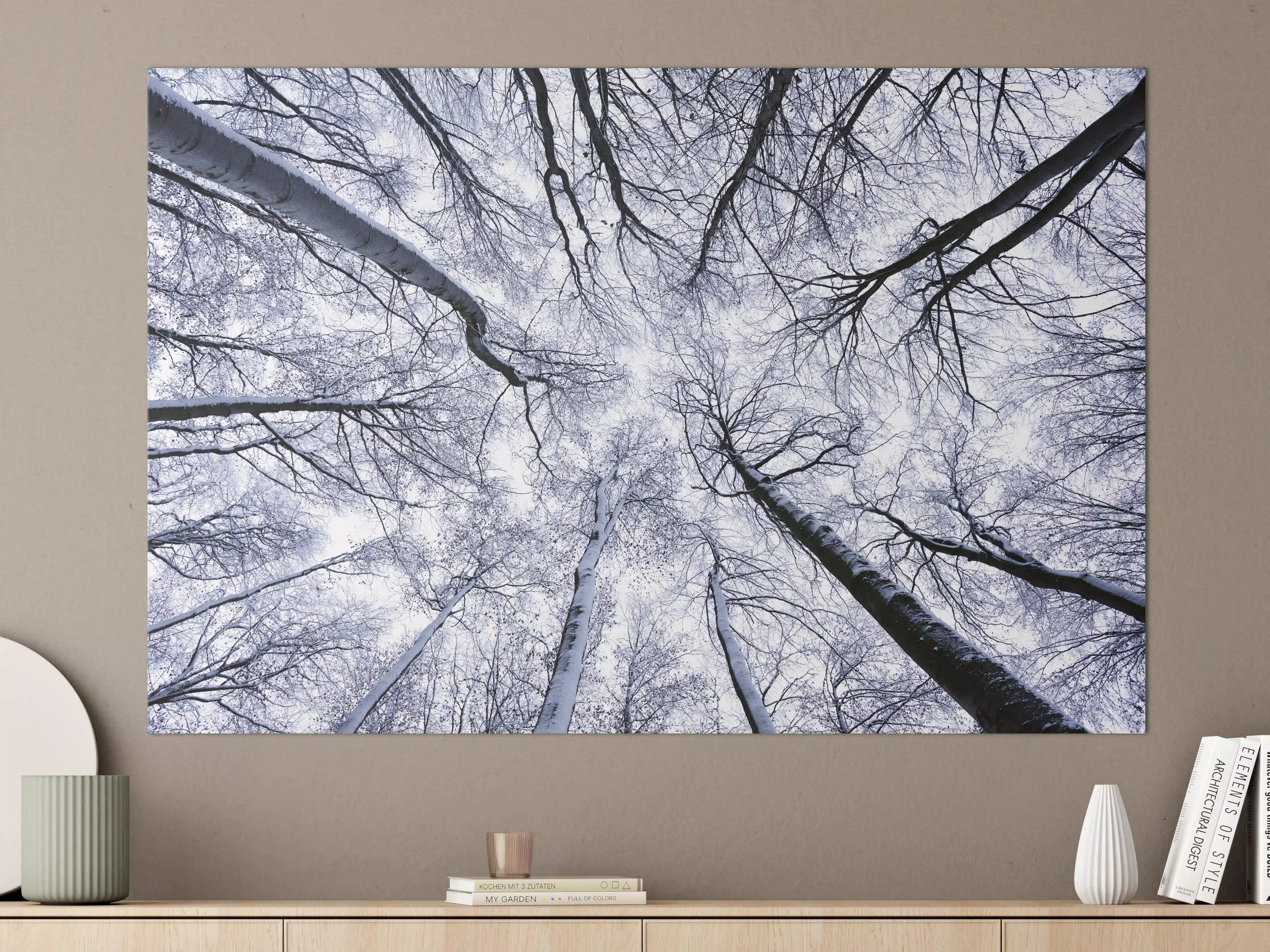 Große Wandbilder - Frostiger Wald