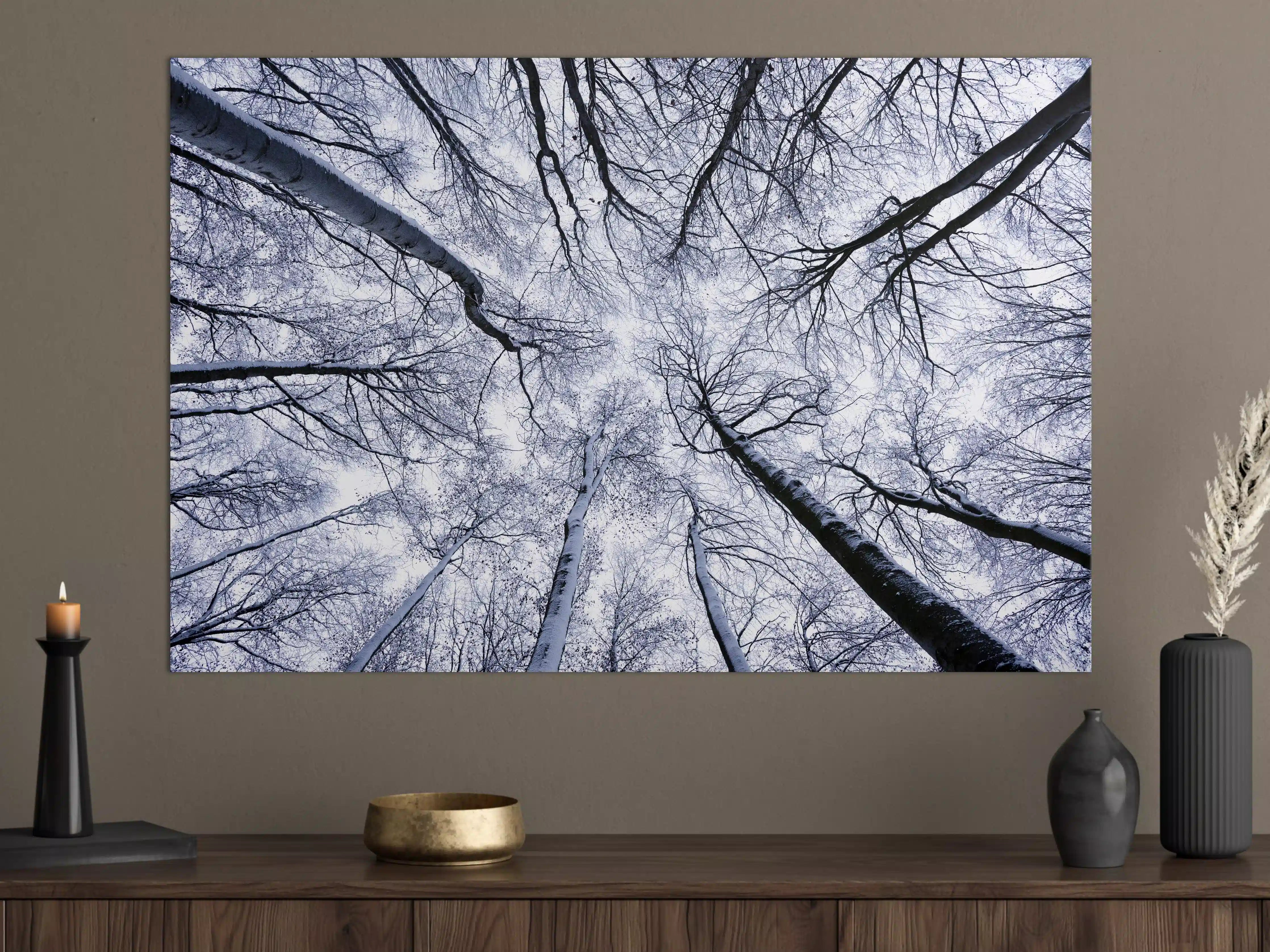 Große Wandbilder - Frostiger Wald