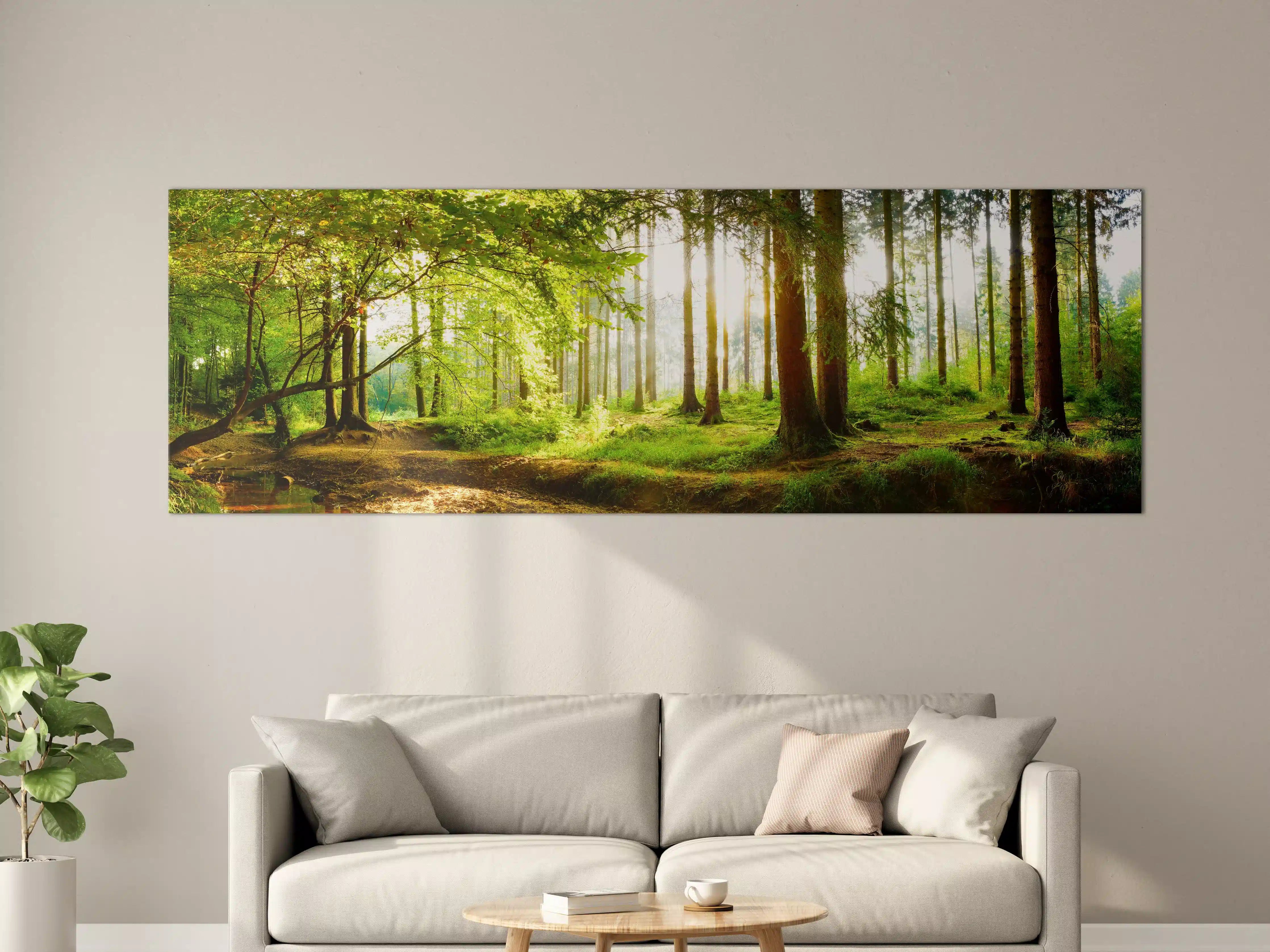 Große Wandbilder - Frühlingswald mit Sonnenschein