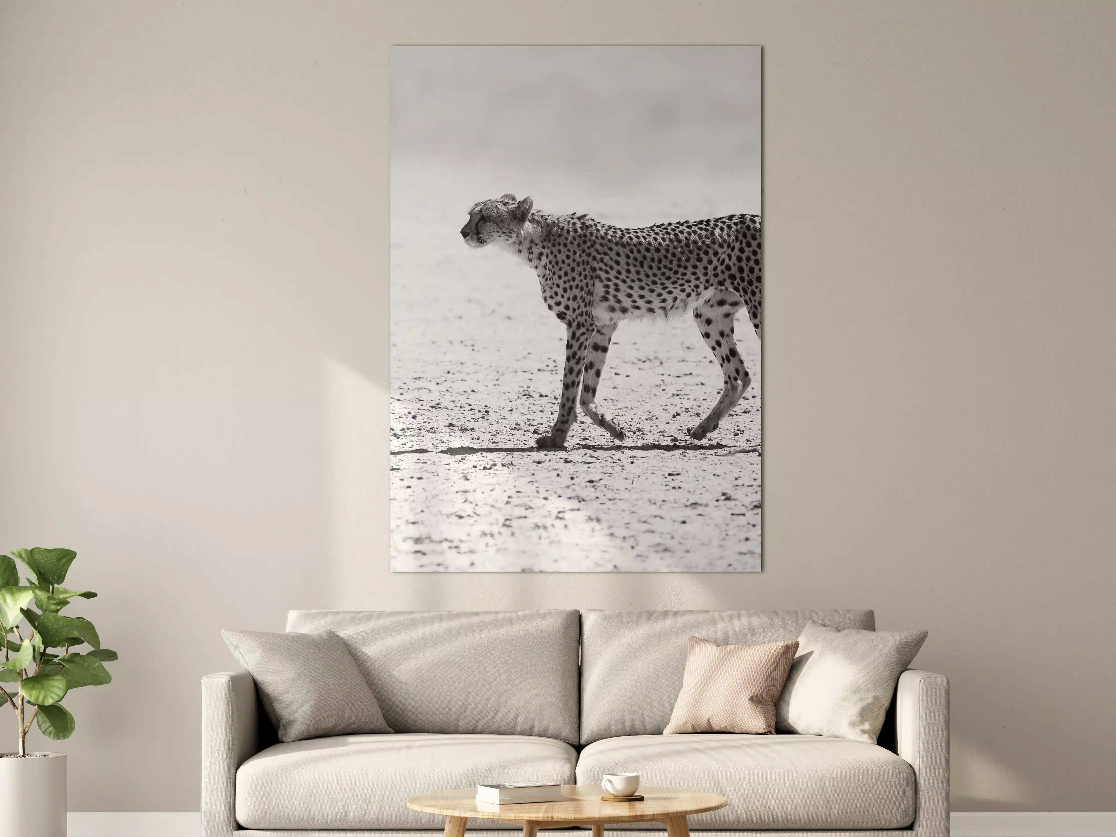 Große Wandbilder - Gepard - schwarz-weiß