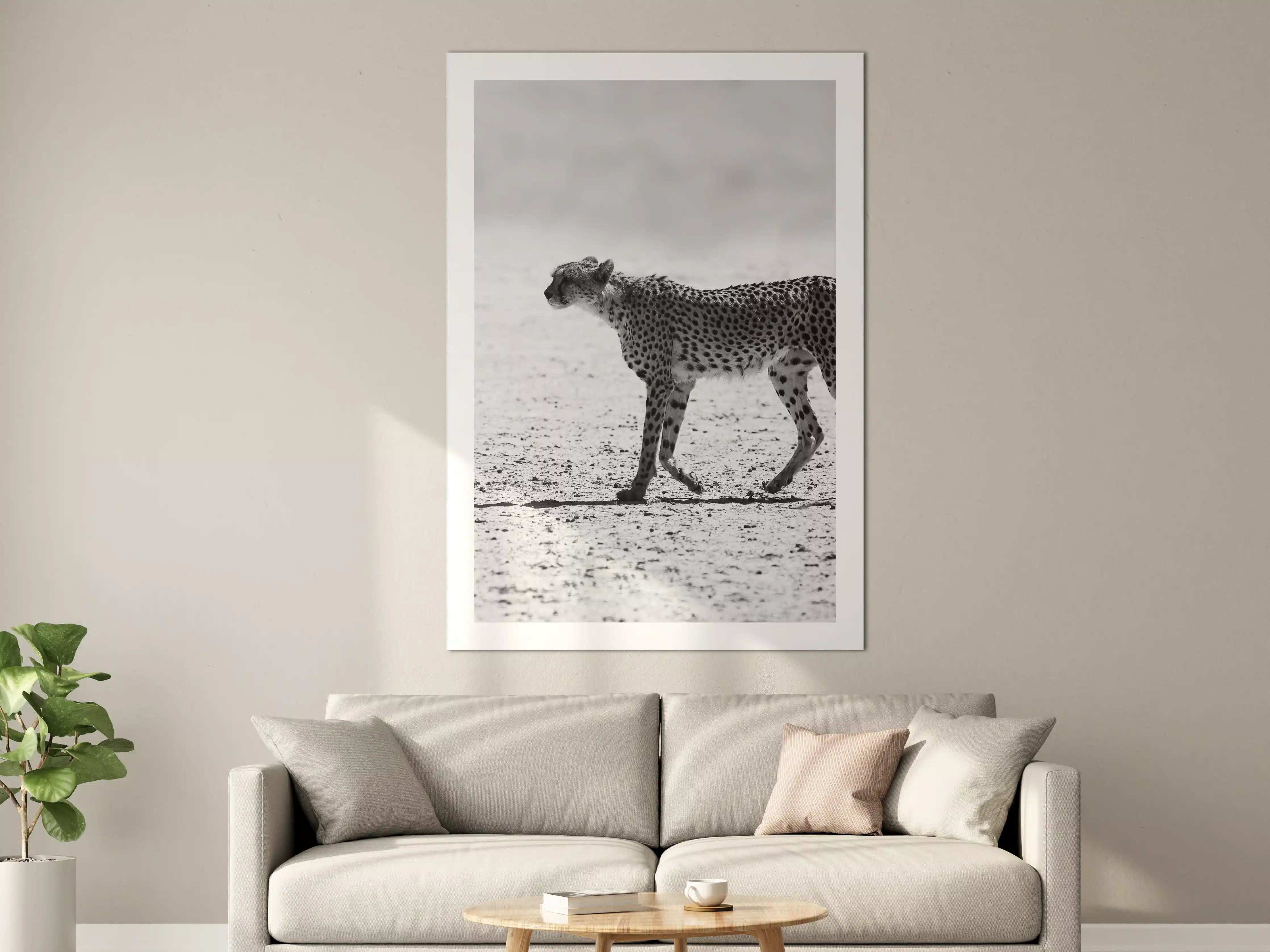 Große Wandbilder - Gepard in Schwarz-Weiß