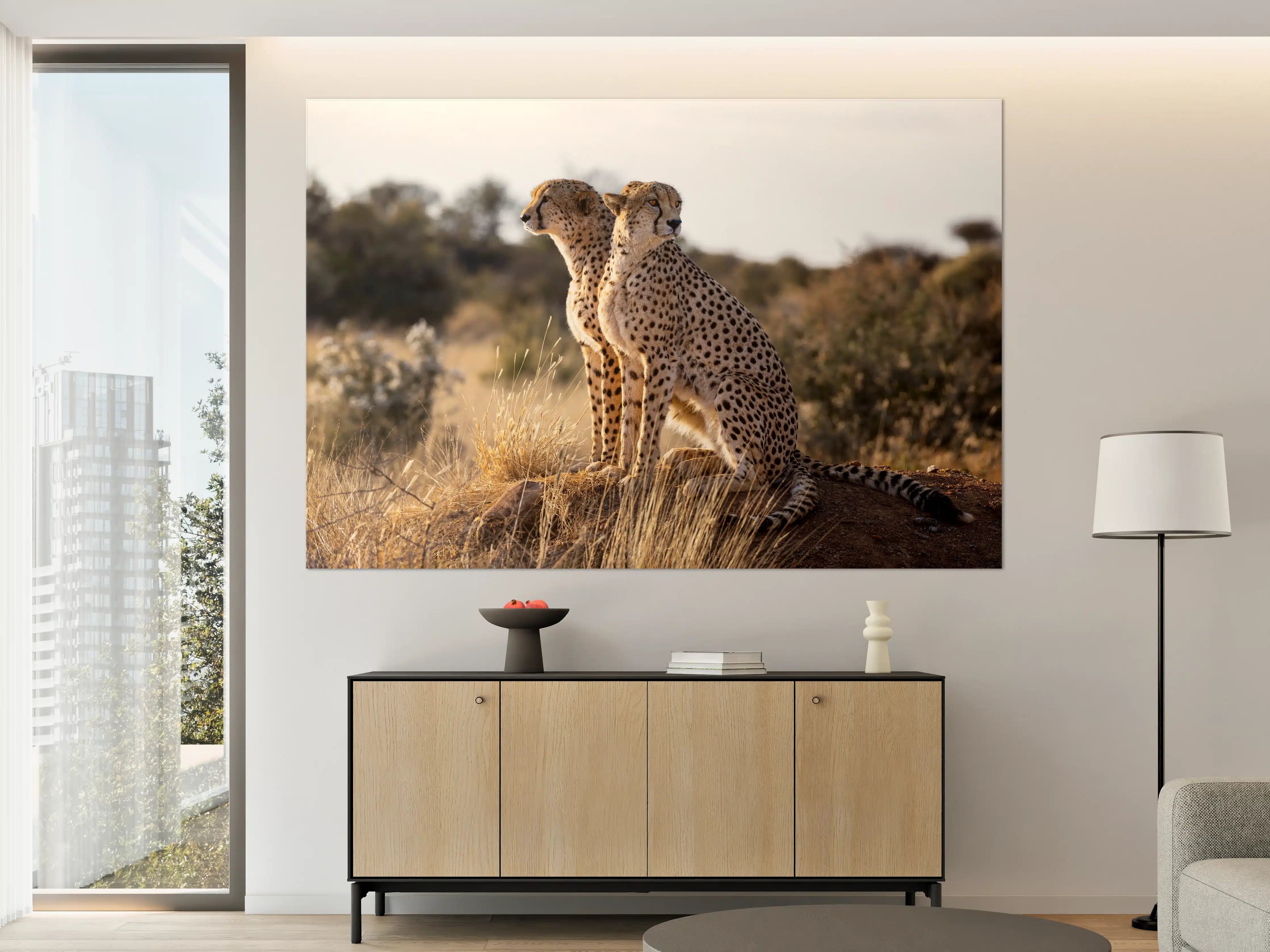 Große Wandbilder - Gepard in freier Natur
