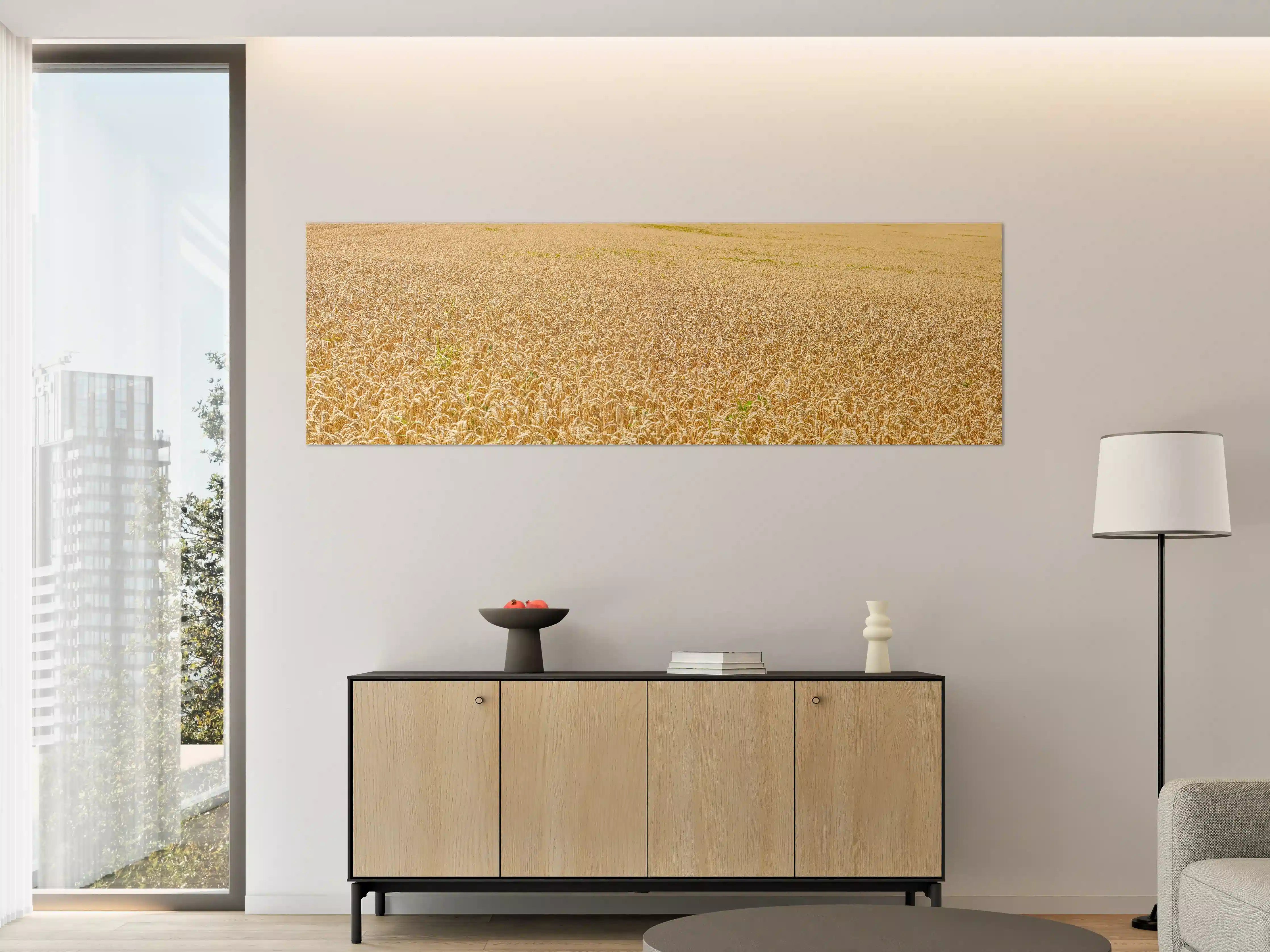 Große Wandbilder - Getreidefeld - Panoramabild