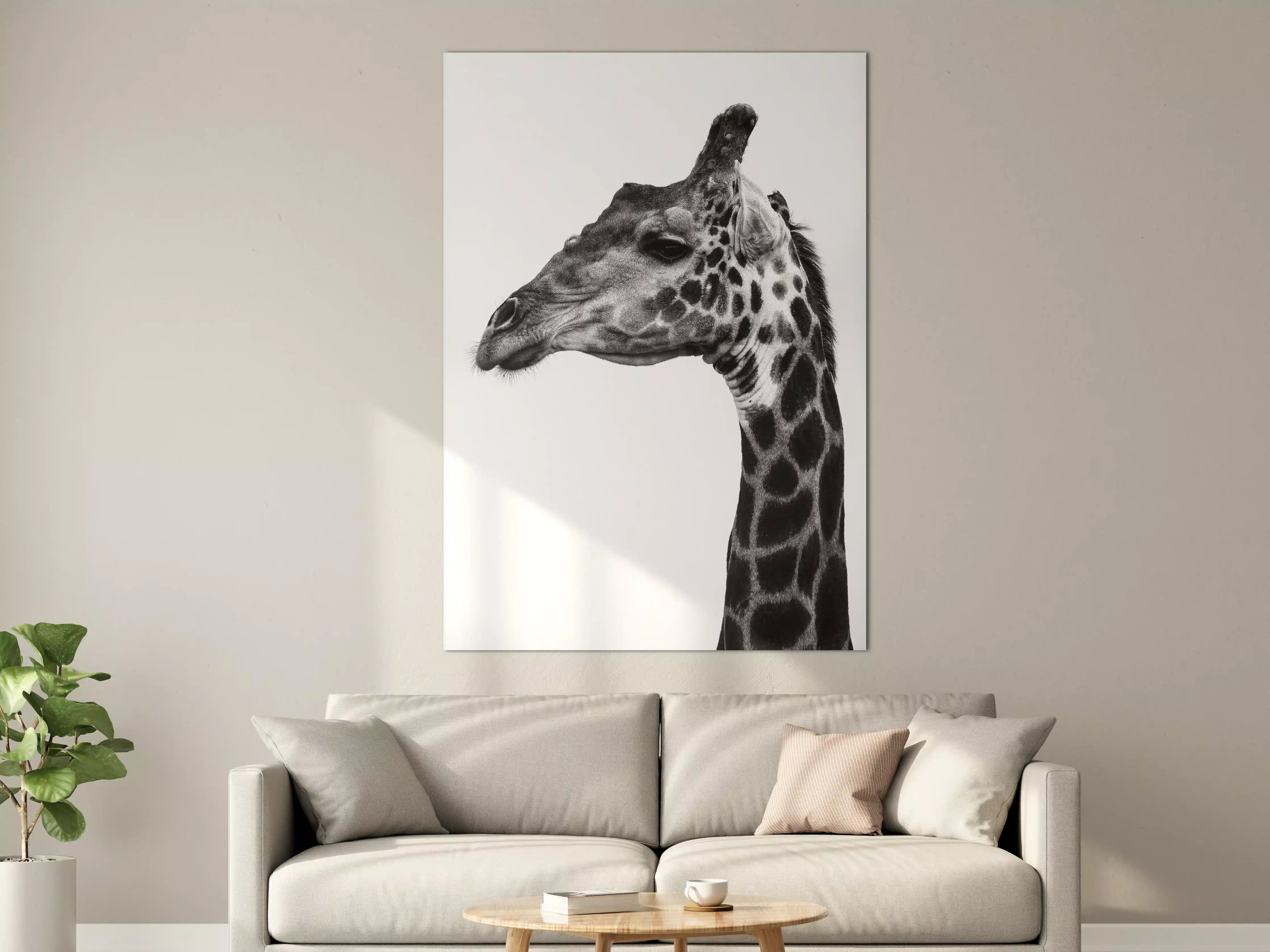 Große Wandbilder - Giraffe - schwarz-weiß